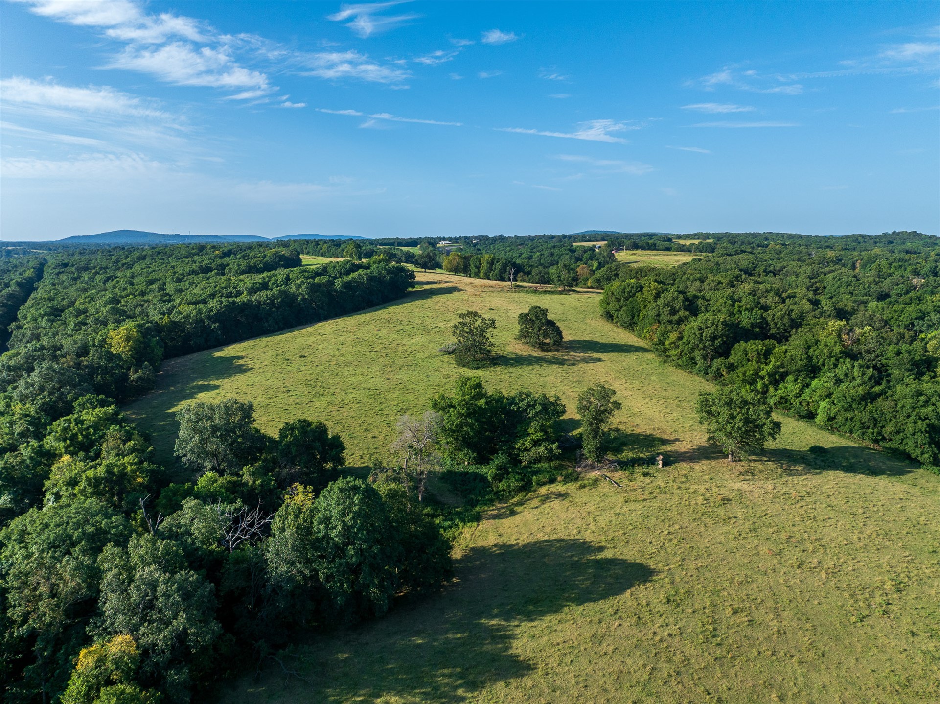 209 State Highway 59 Property Photo 65