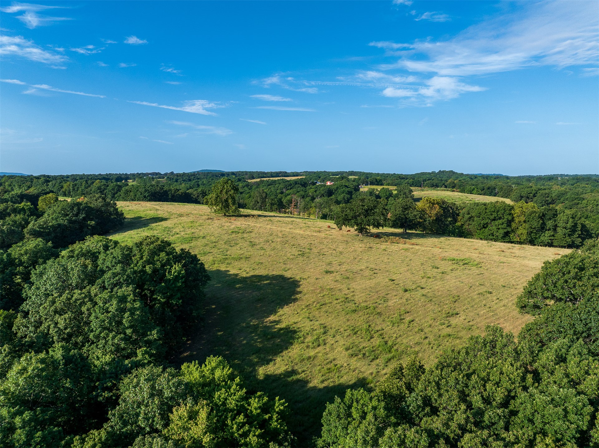 209 State Highway 59 Property Photo 68