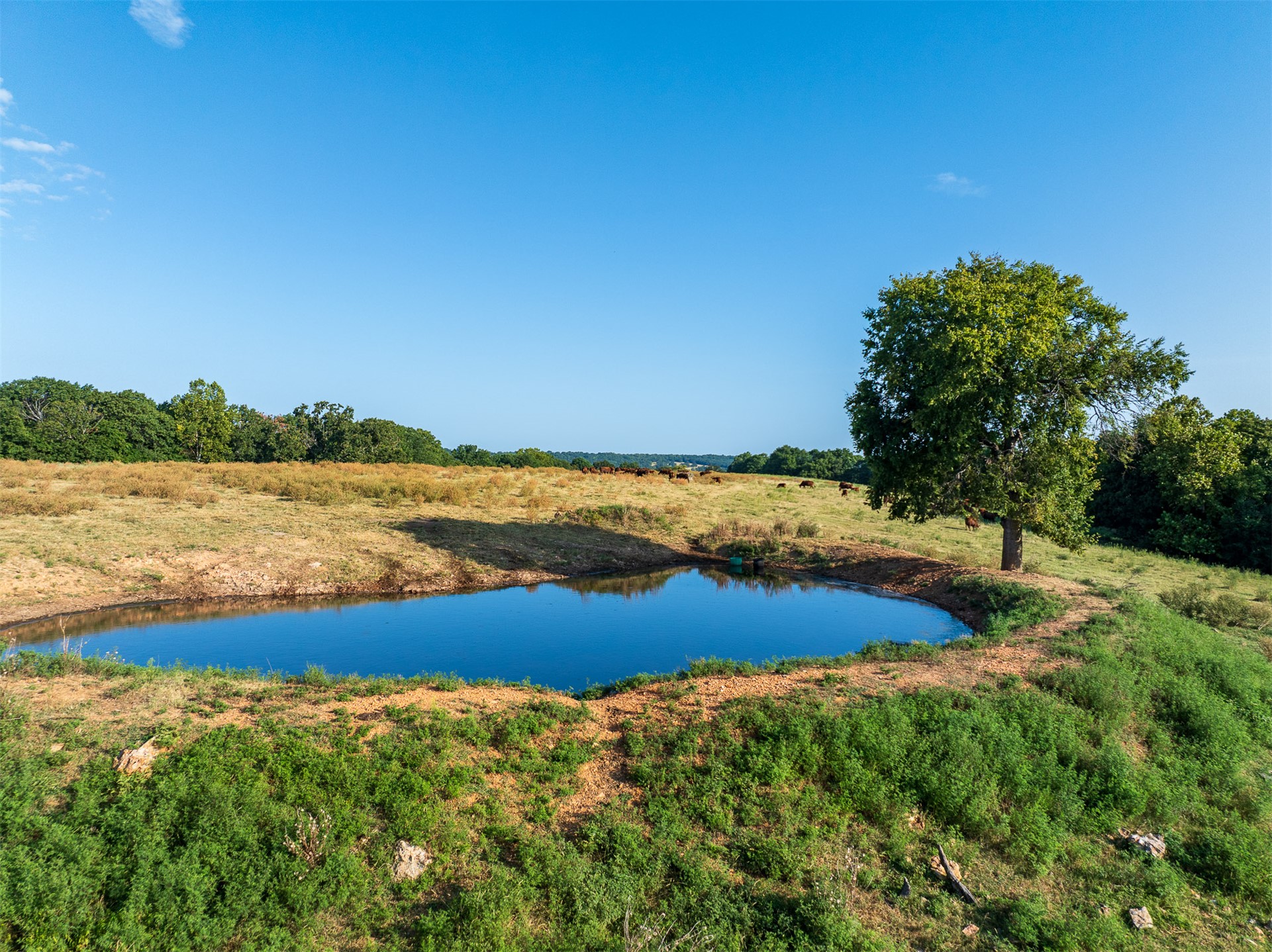 209 State Highway 59 Property Photo 71