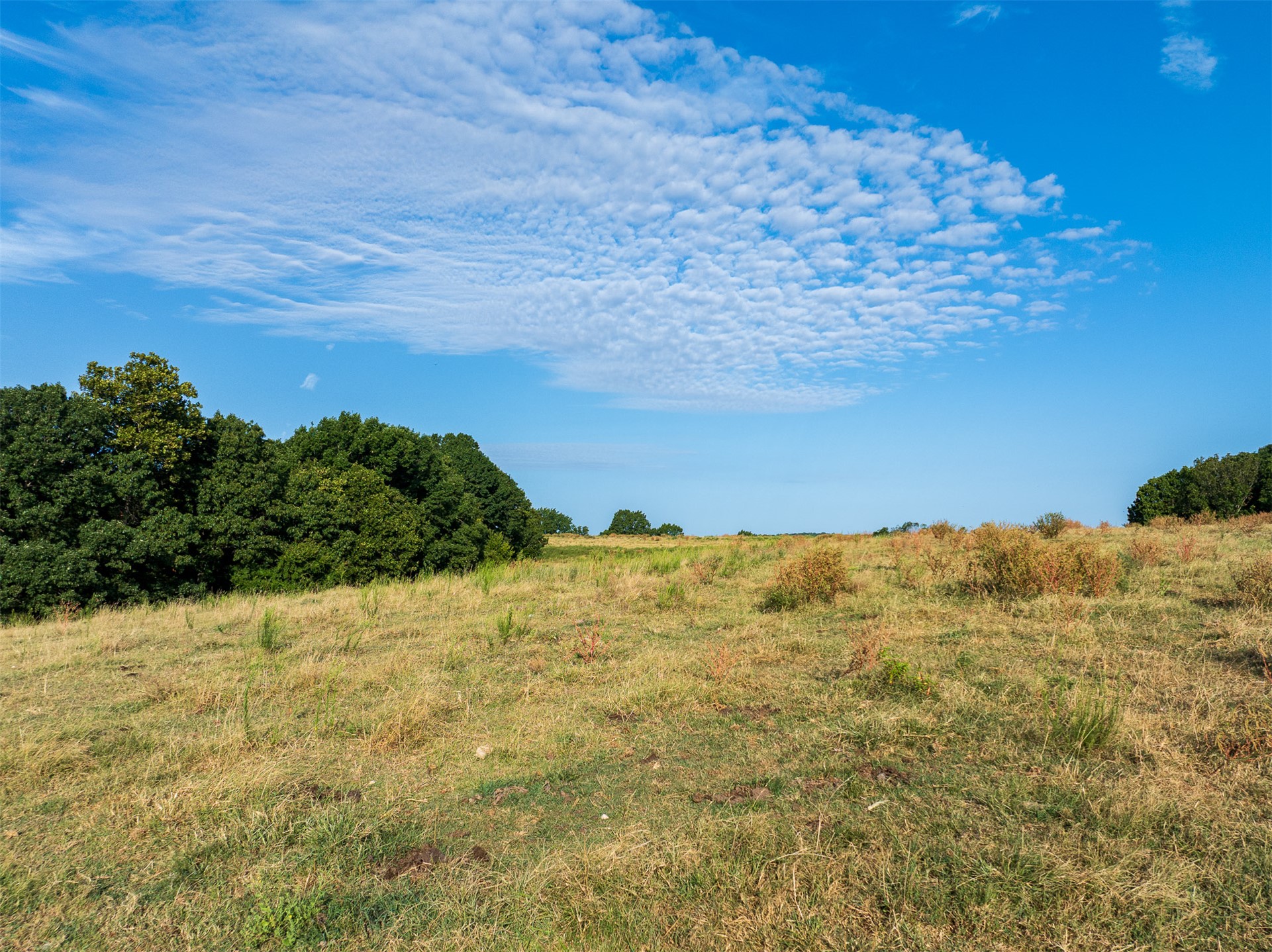 209 State Highway 59 Property Photo 72