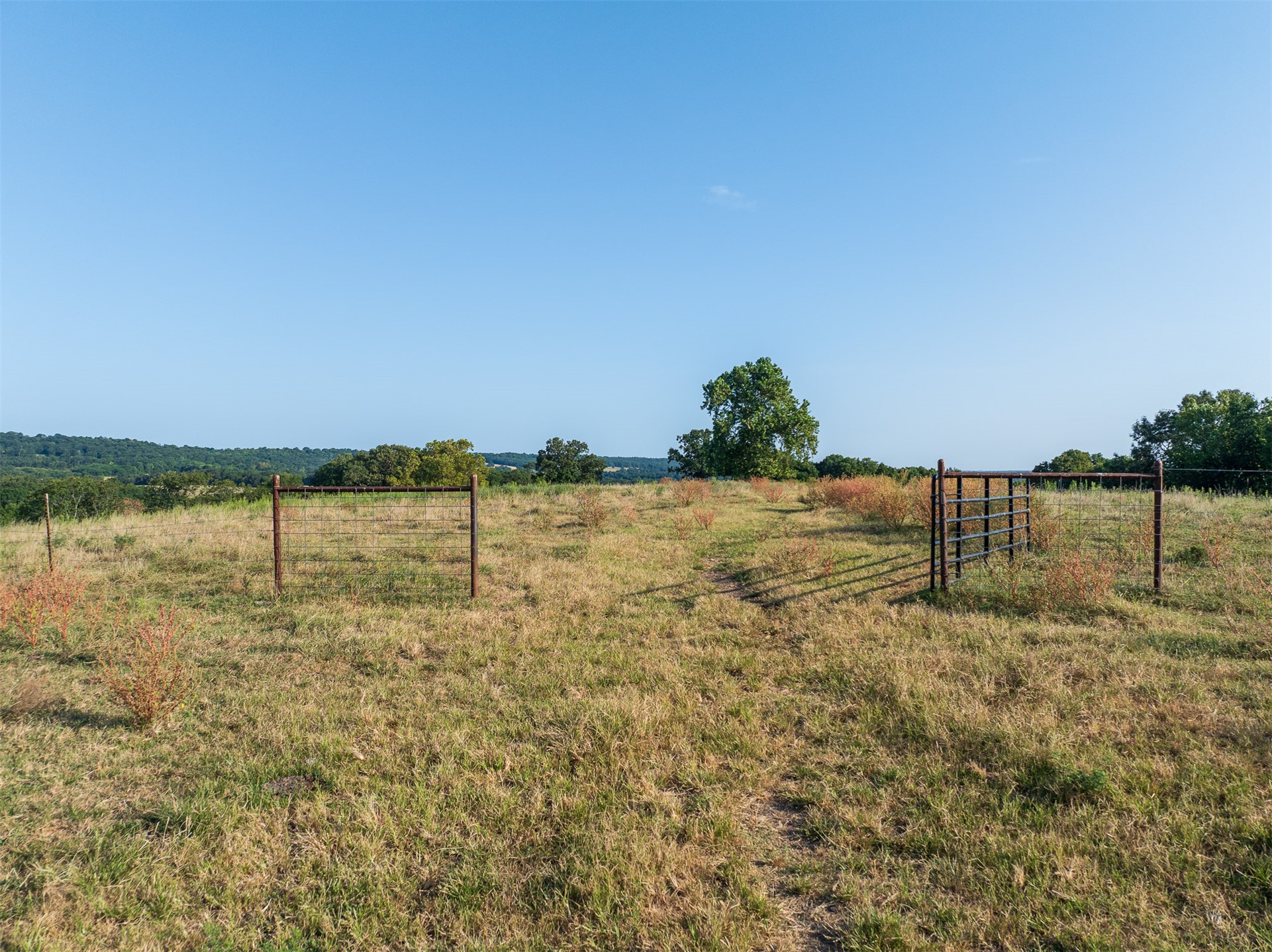 209 State Highway 59 Property Photo 73