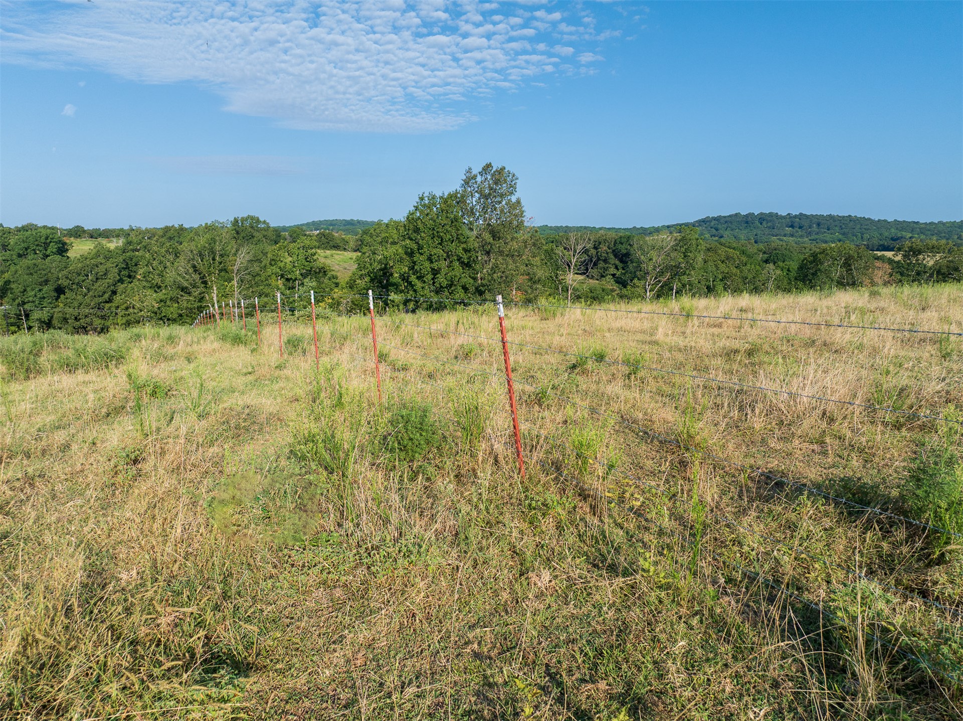 209 State Highway 59 Property Photo 74