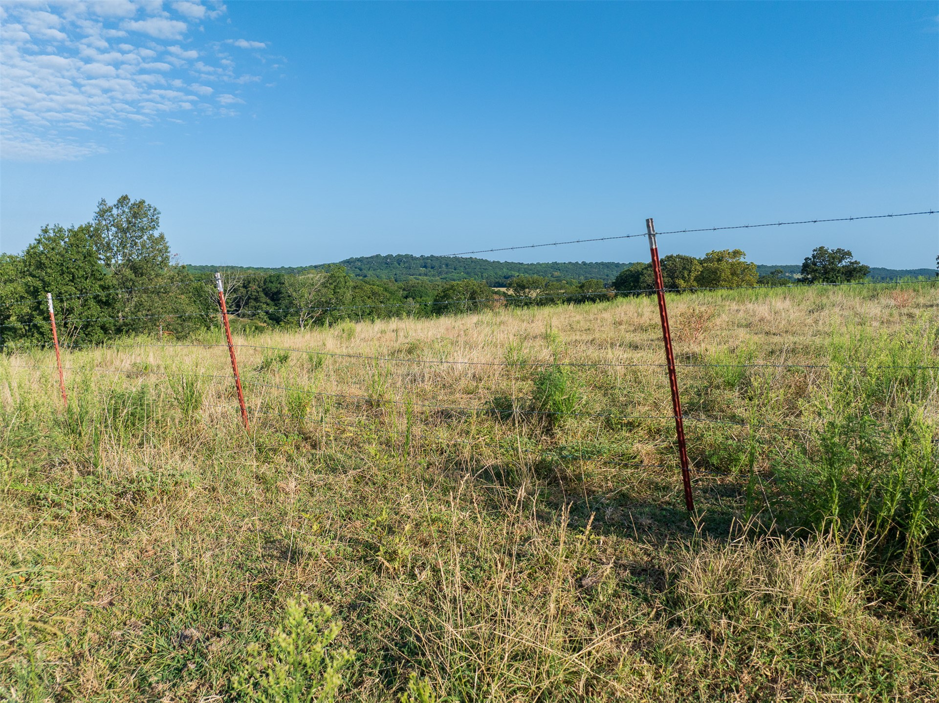 209 State Highway 59 Property Photo 75
