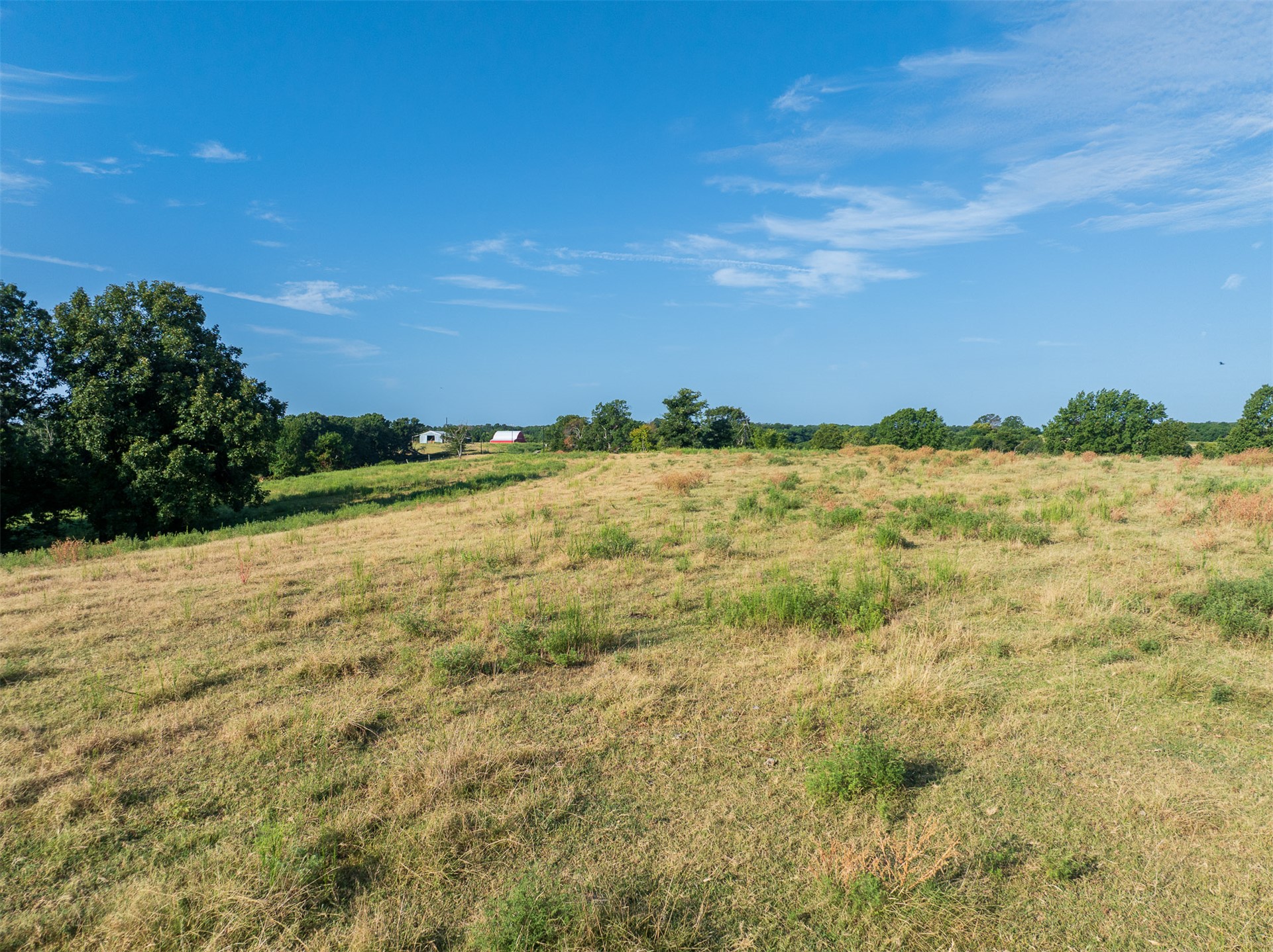209 State Highway 59 Property Photo 76