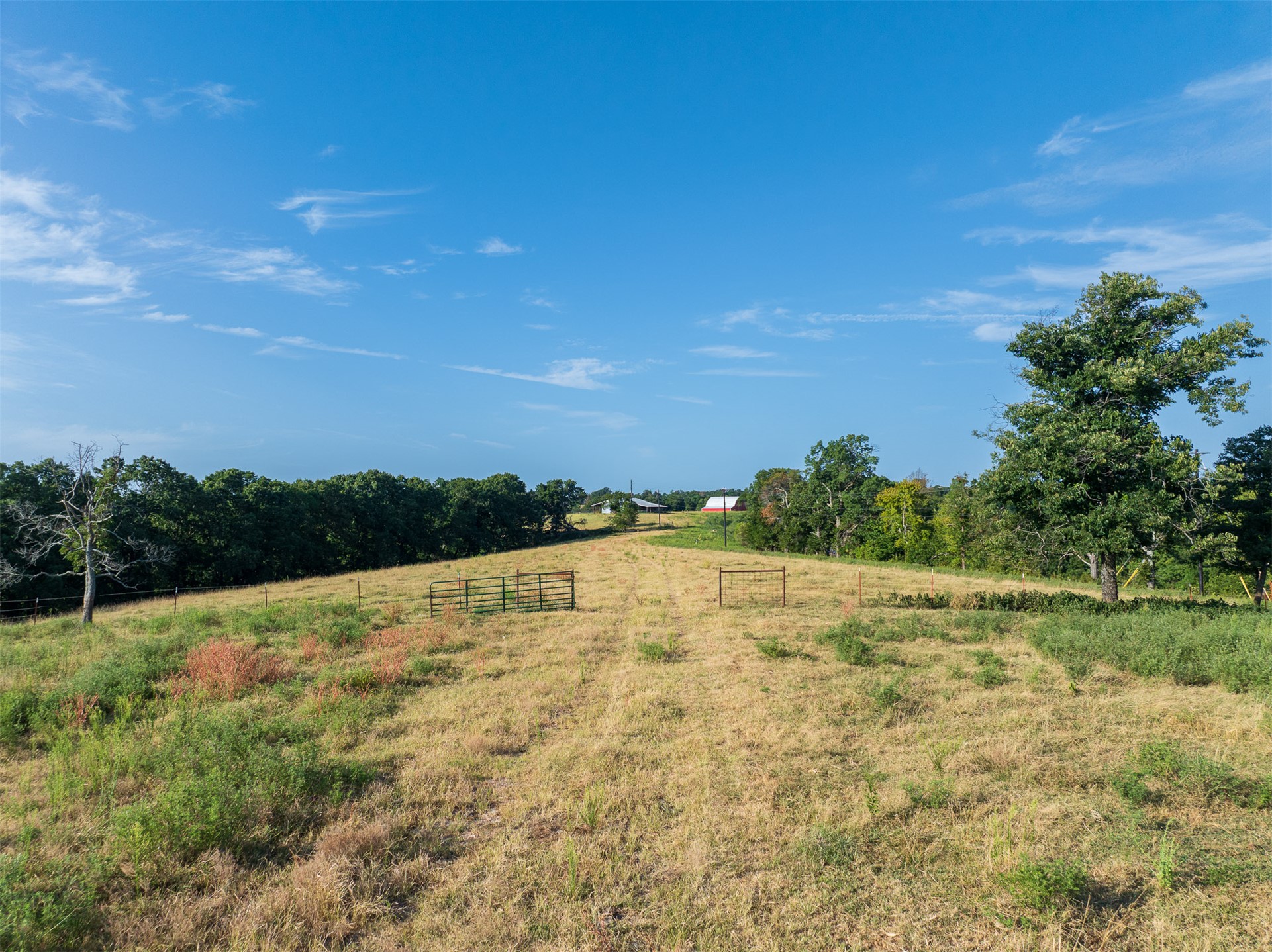 209 State Highway 59 Property Photo 77