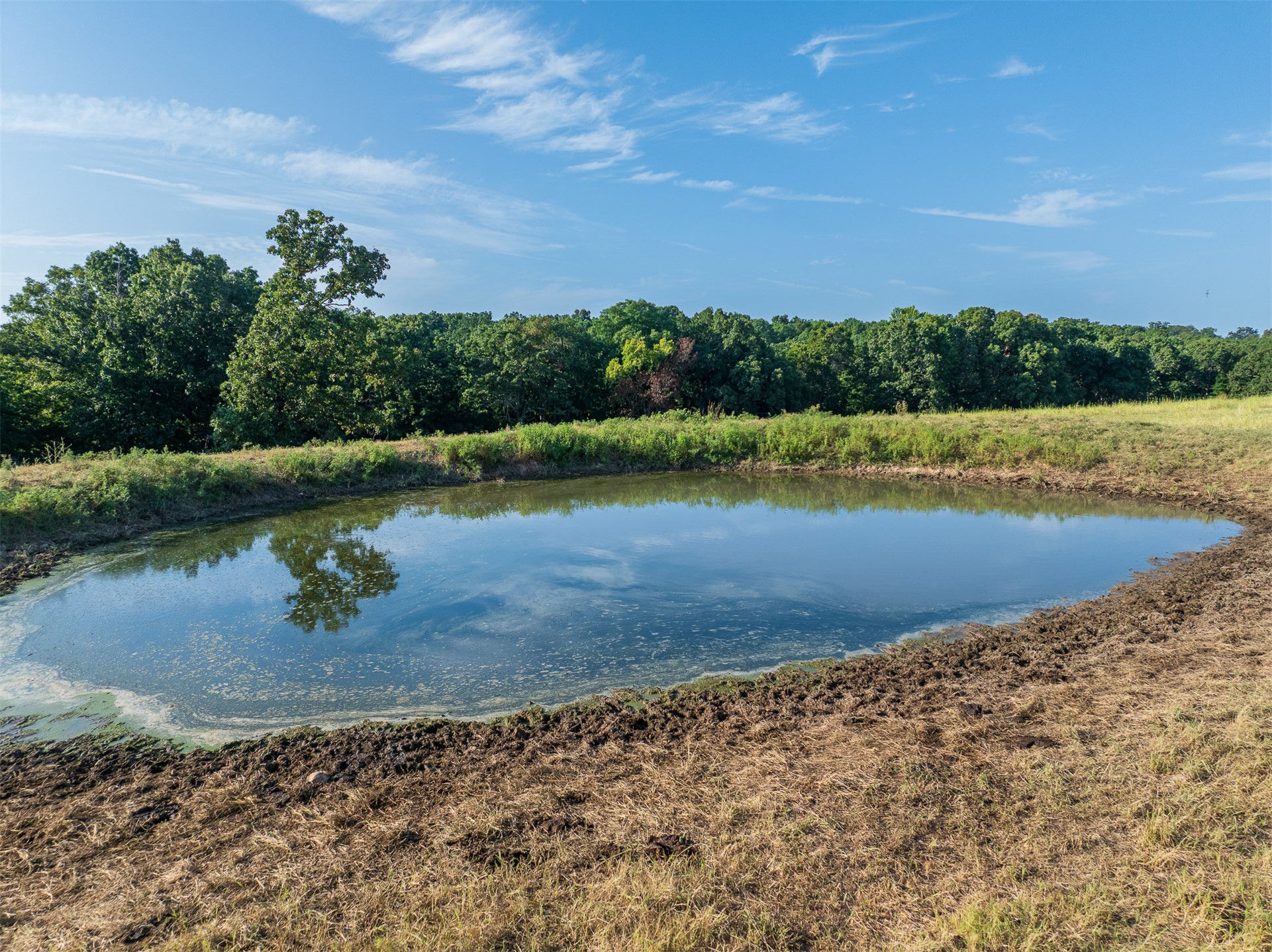 209 State Highway 59 Property Photo 78