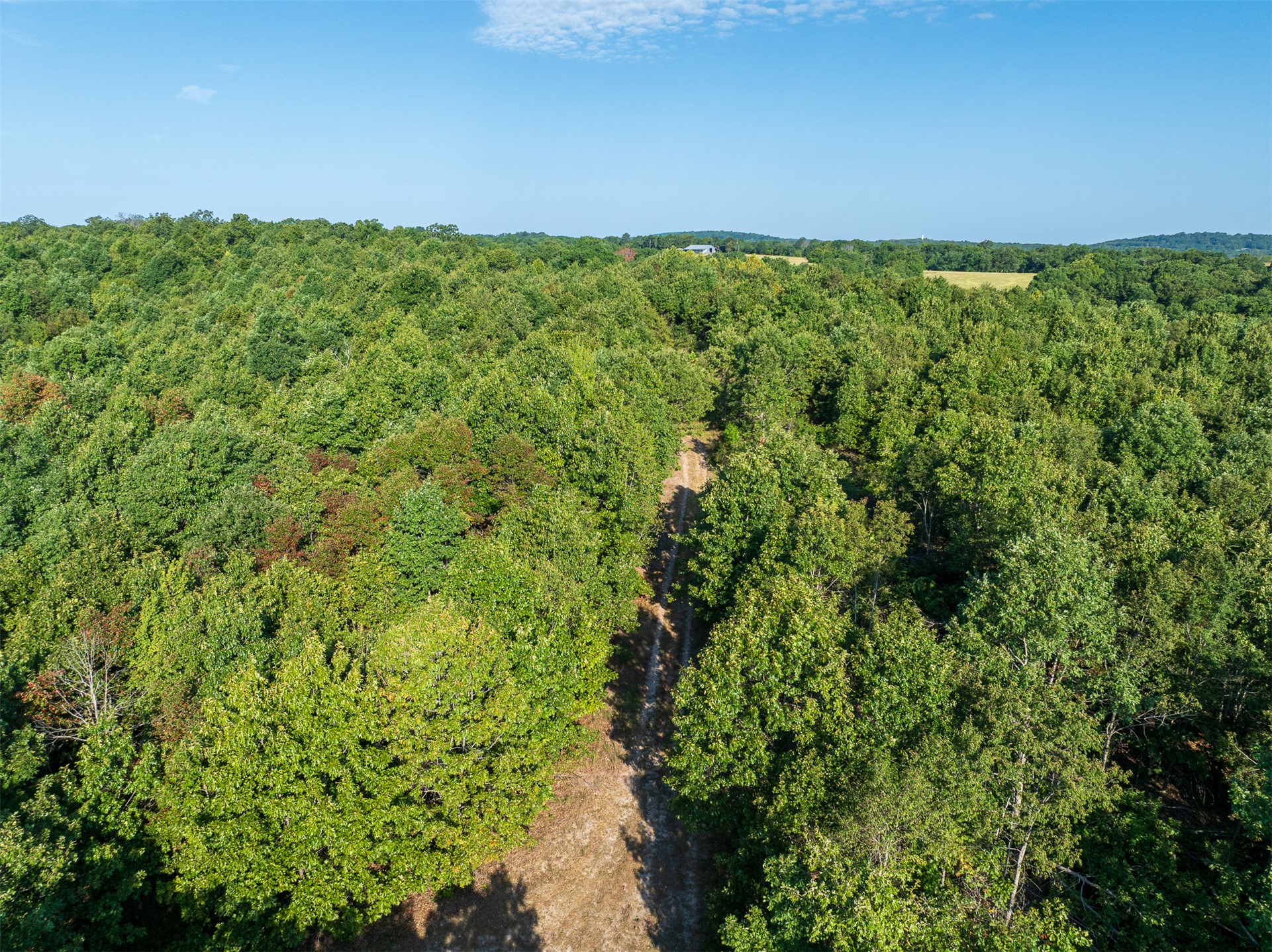 209 State Highway 59 Property Photo 86