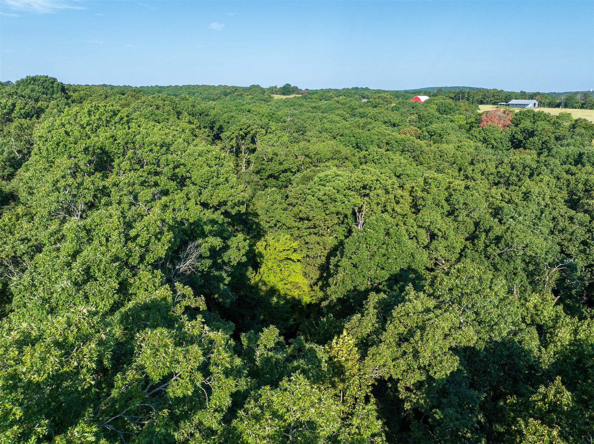209 State Highway 59 Property Photo 88