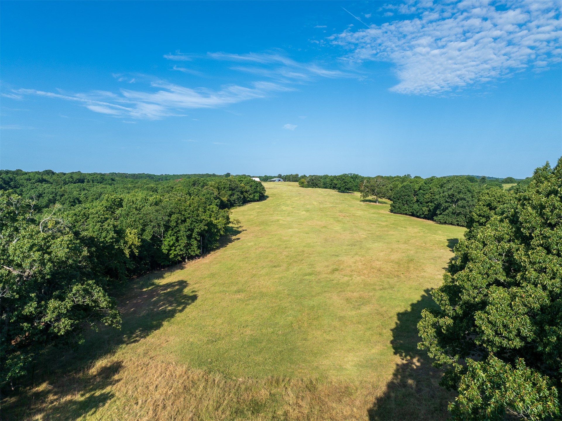 209 State Highway 59 Property Photo 89