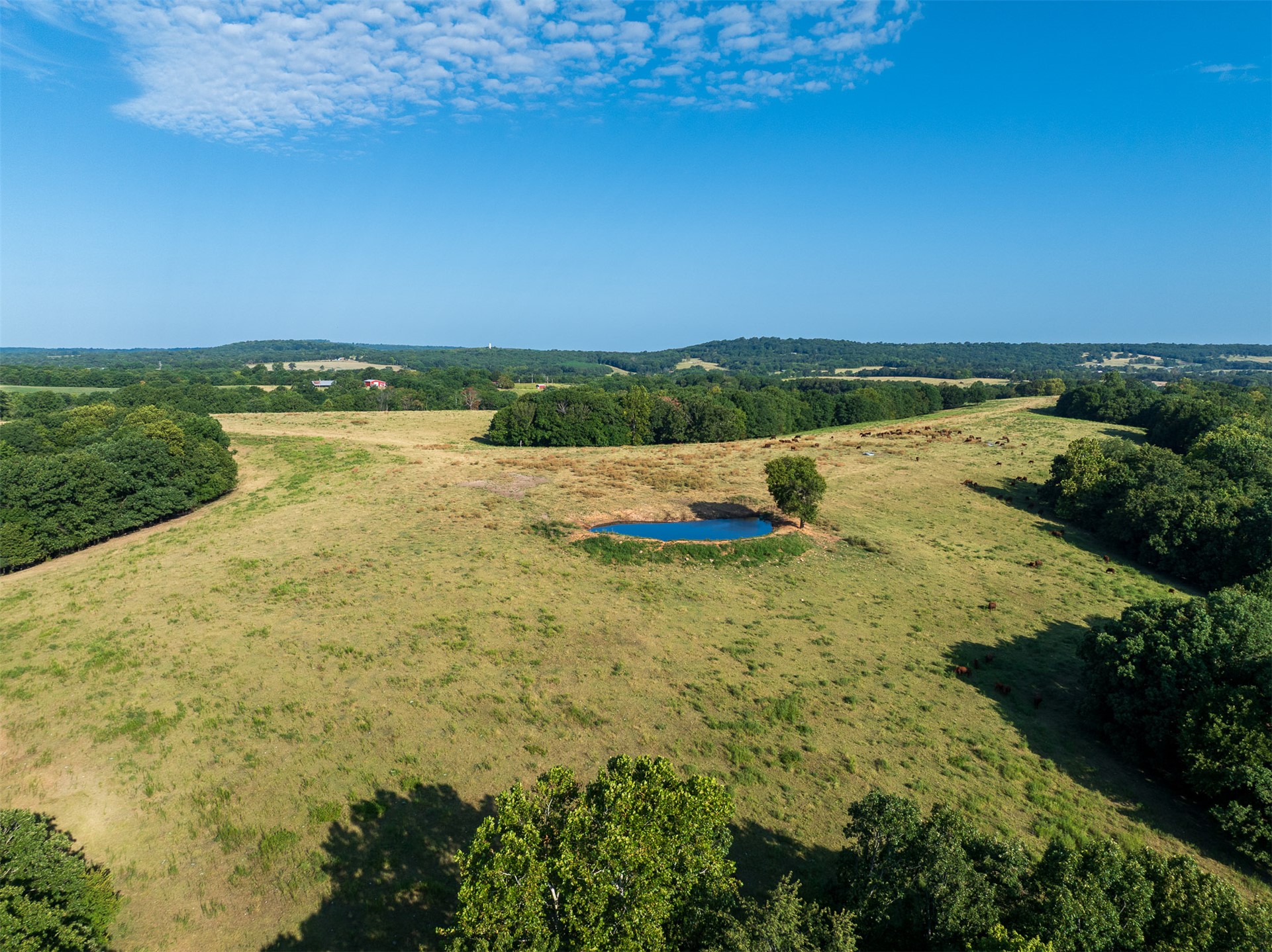 209 State Highway 59 Property Photo 90