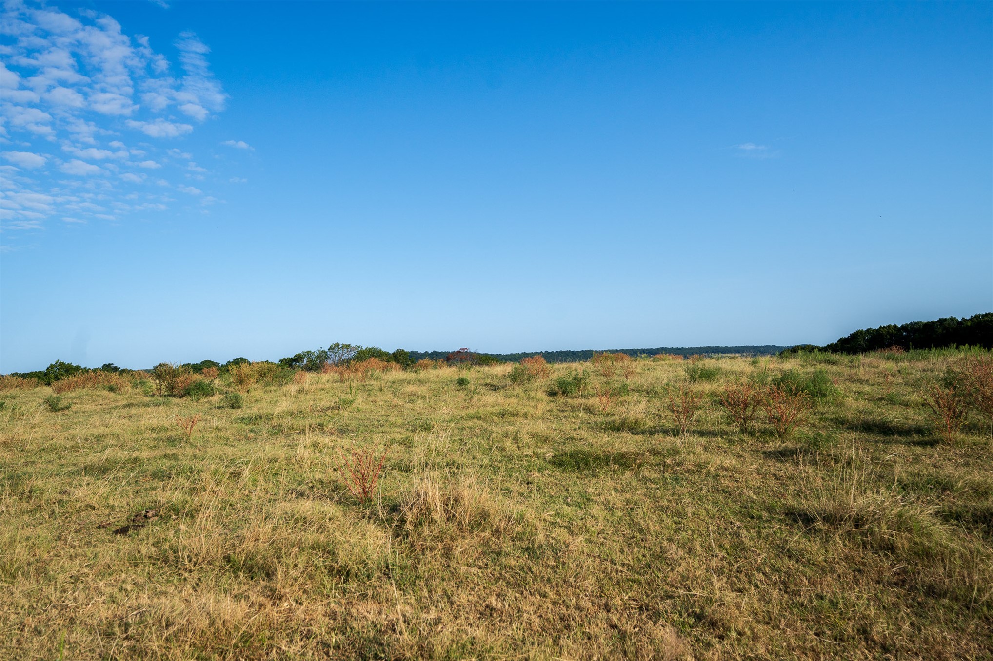 209 State Highway 59 Property Photo 98