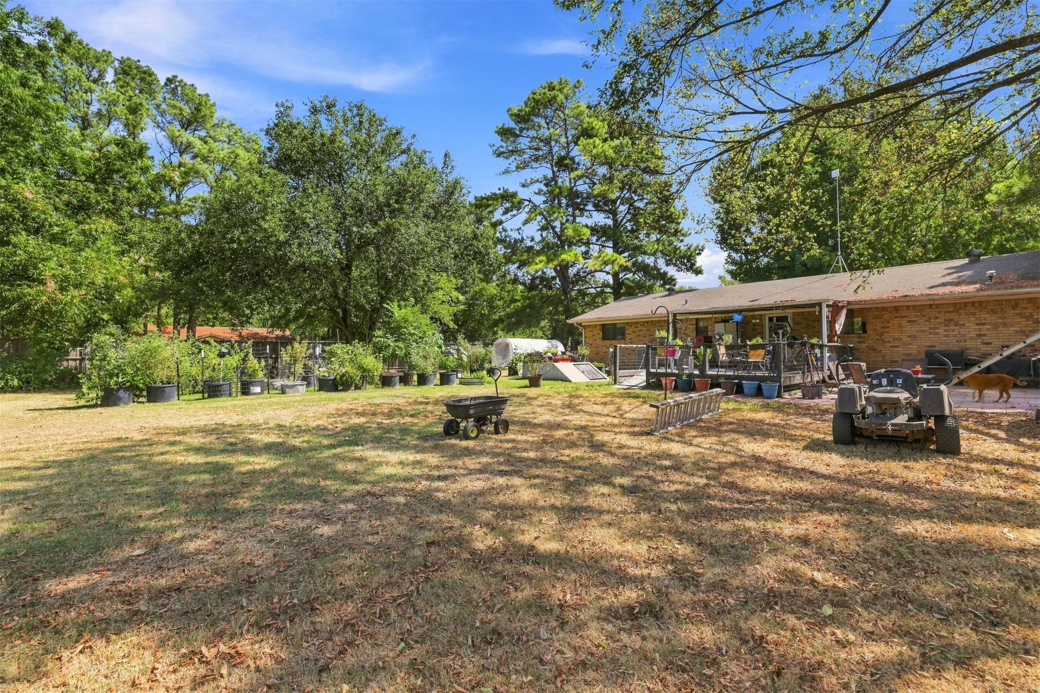 201 Smith Property Photo 17