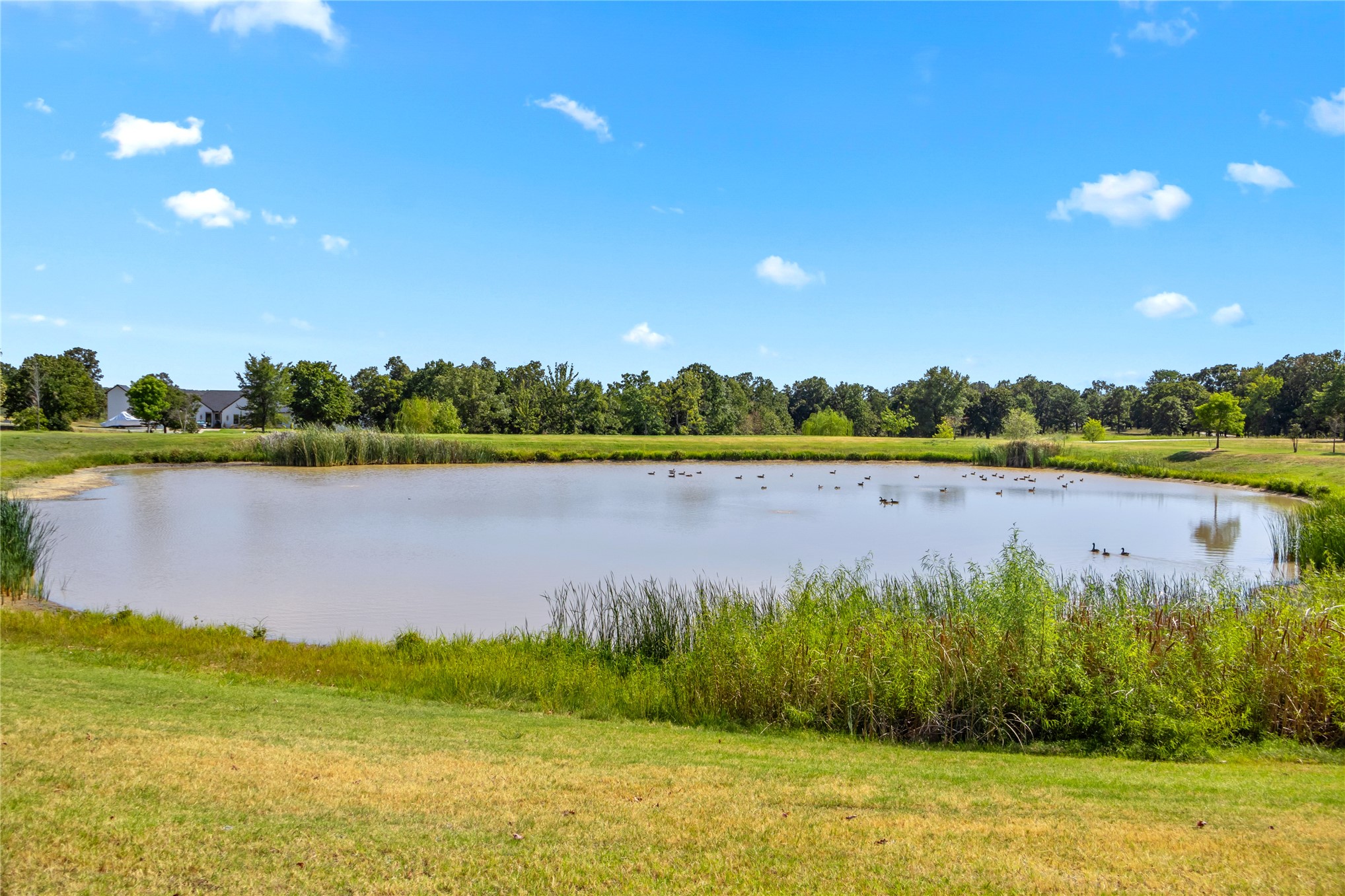 119402 S 4214 Loop Property Photo 51