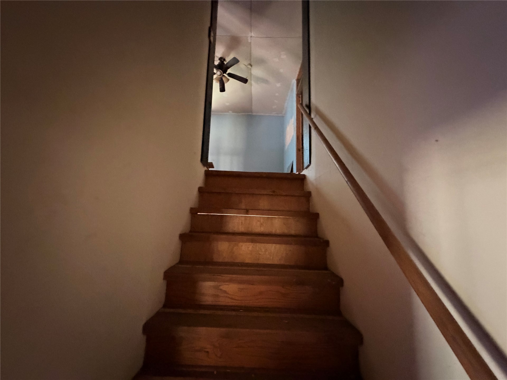 16508 Round Mountain Road Property Photo 17