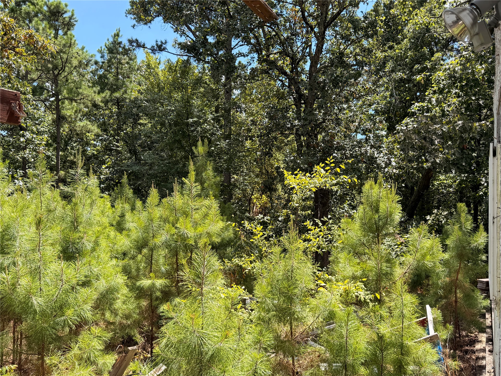 16508 Round Mountain Road Property Photo 23