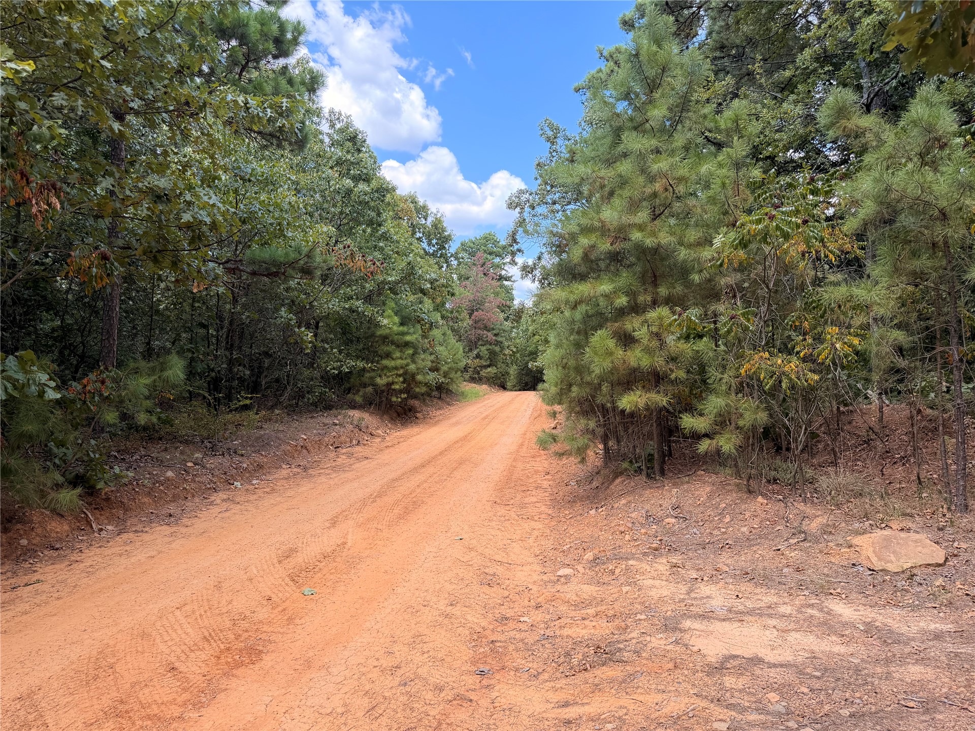 16508 Round Mountain Road Property Photo 25