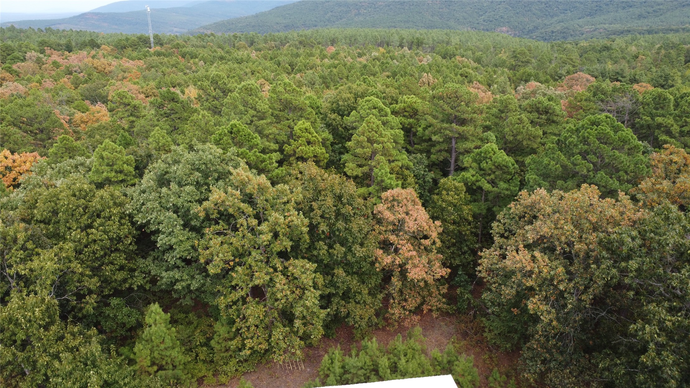 16508 Round Mountain Road Property Photo 27