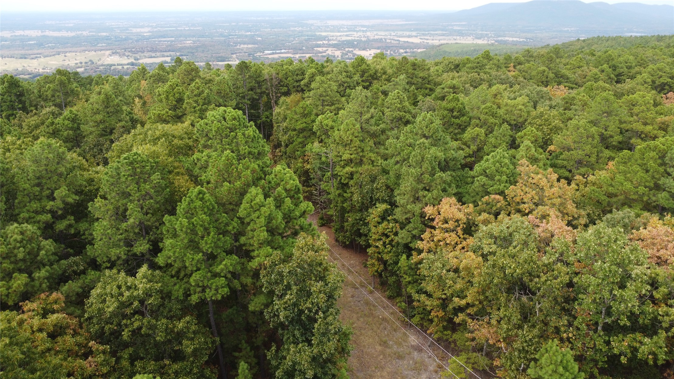 16508 Round Mountain Road Property Photo 28