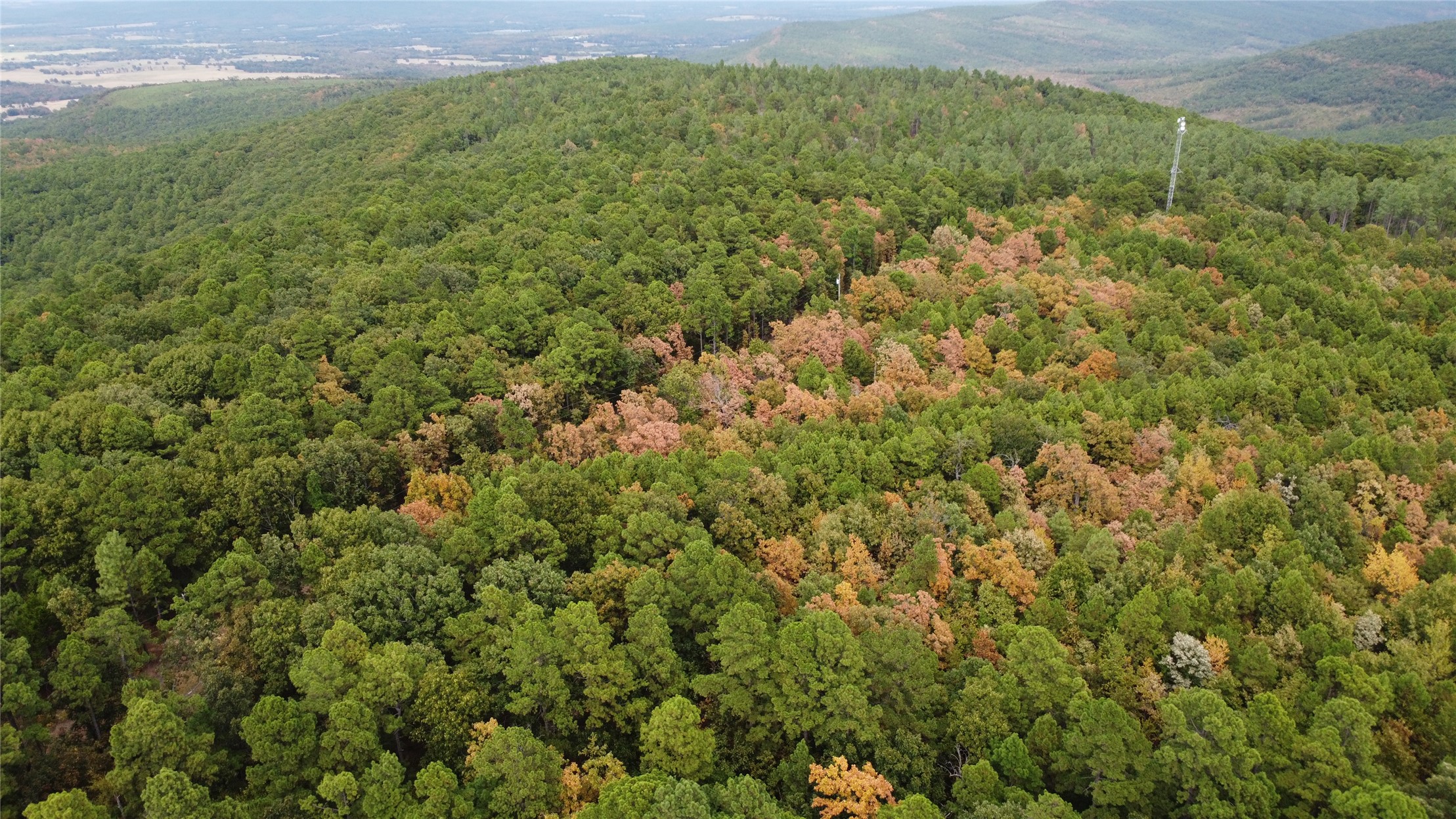 16508 Round Mountain Road Property Photo 29