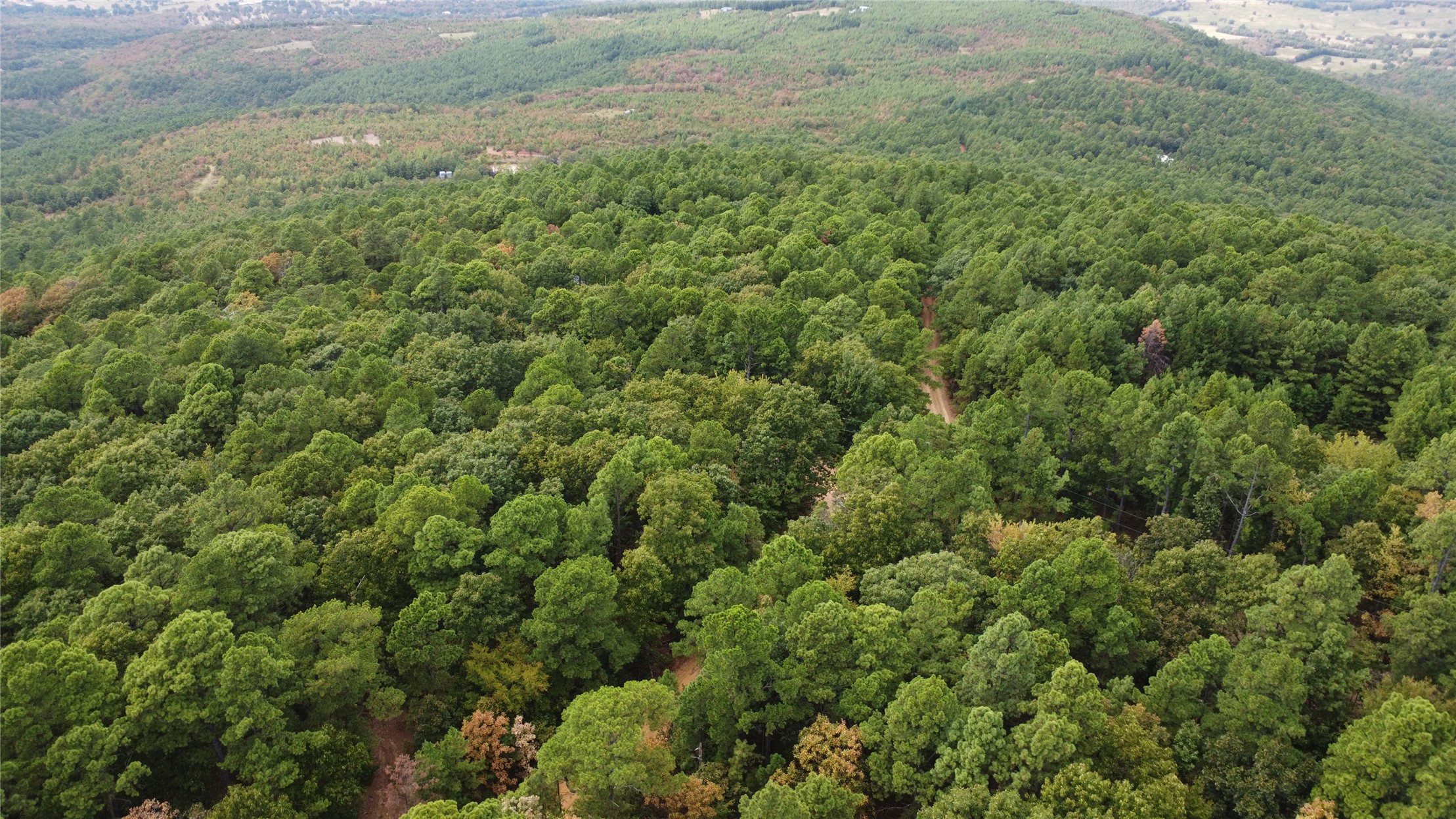 16508 Round Mountain Road Property Photo 31