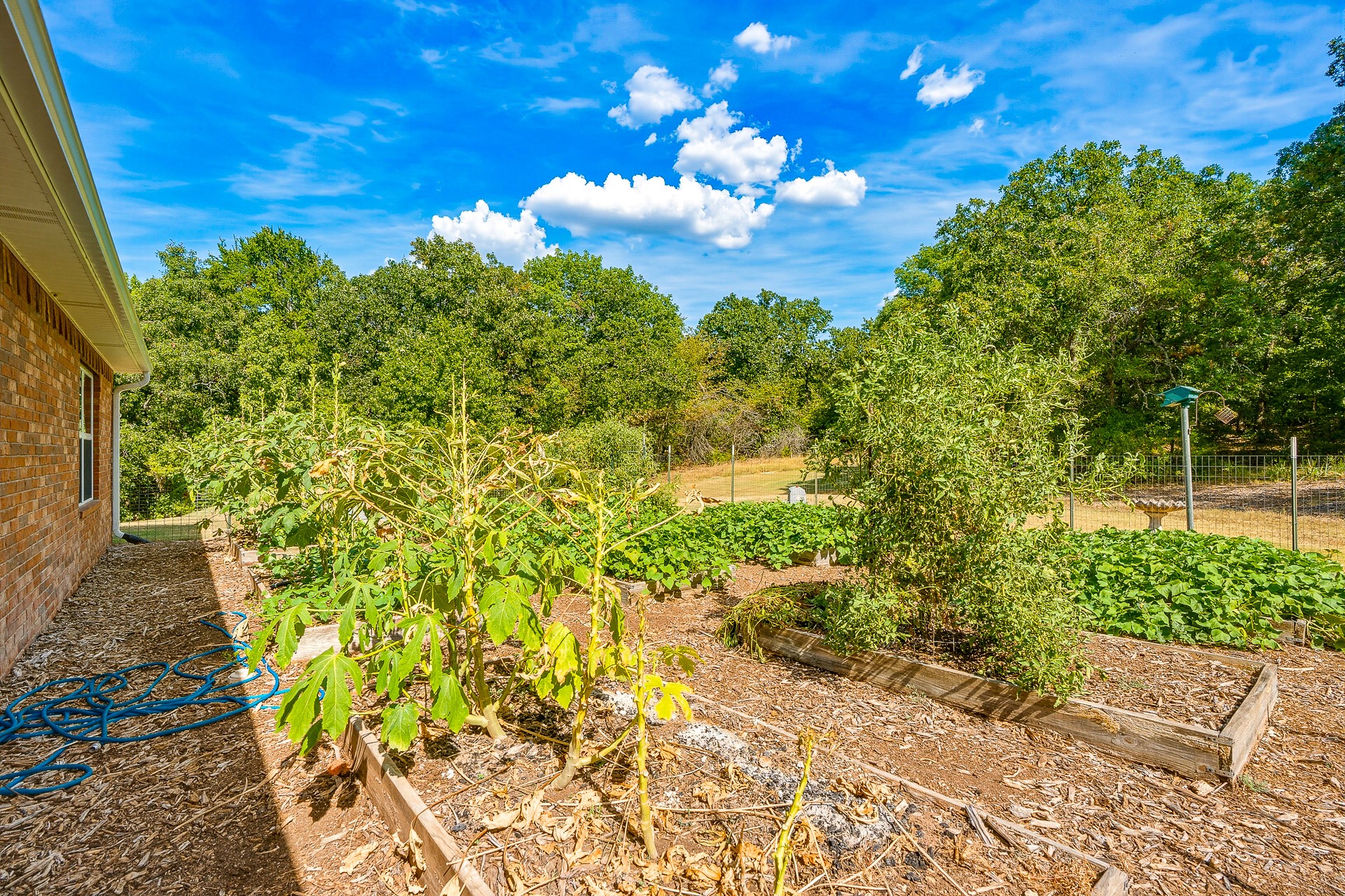 7777 Franks Property Photo 56