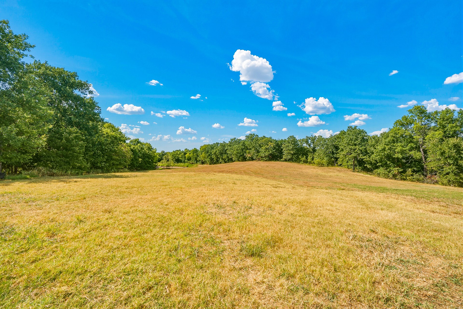 7777 Franks Property Photo 63