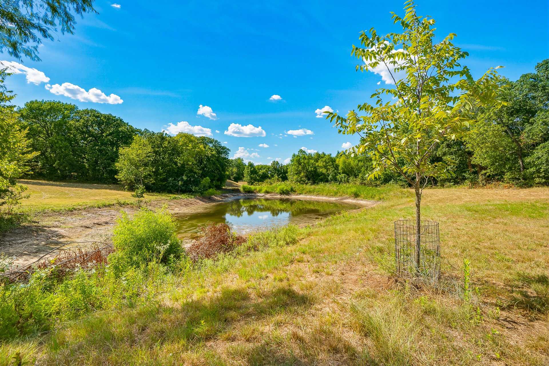 7777 Franks Property Photo 64