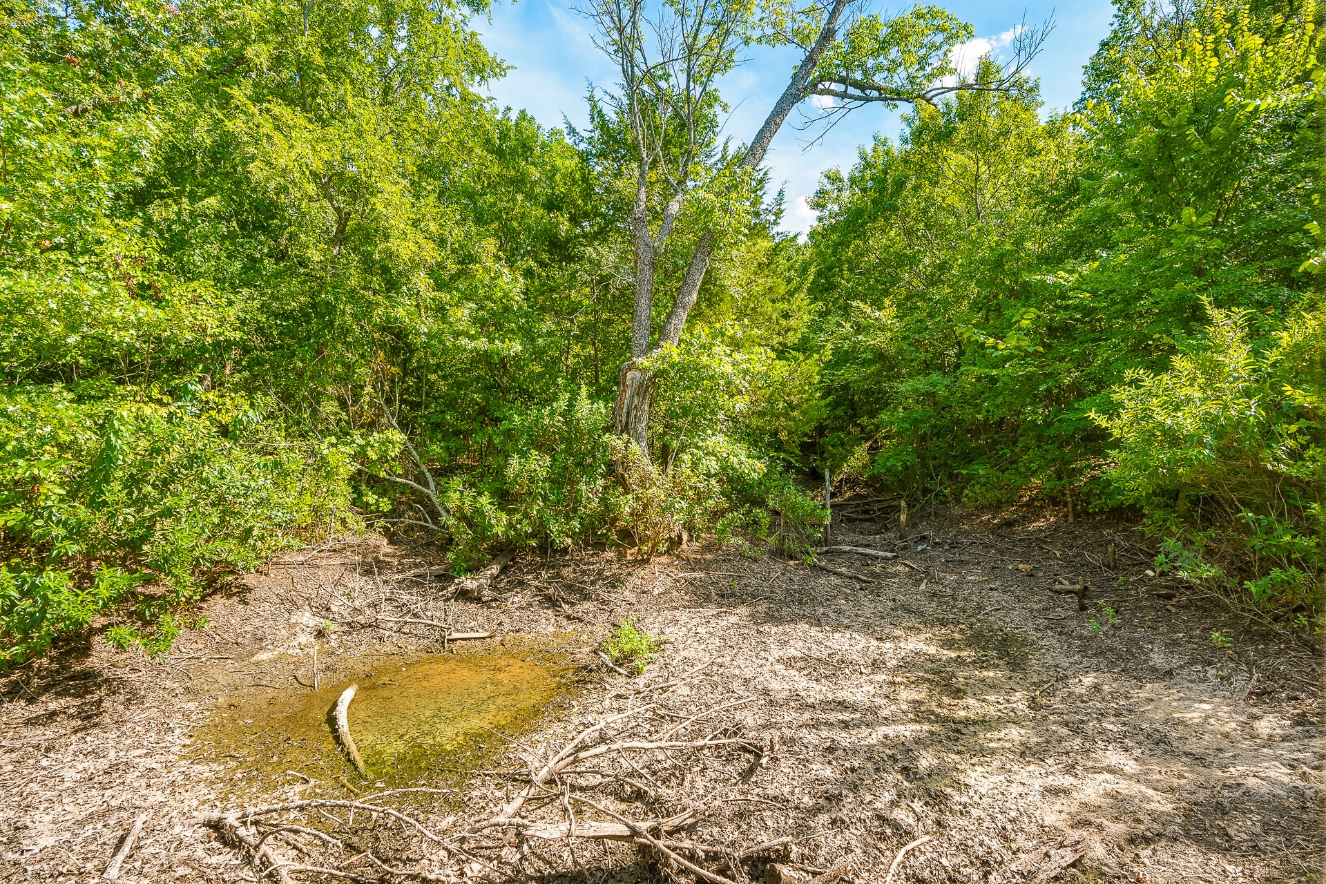 7777 Franks Property Photo 66