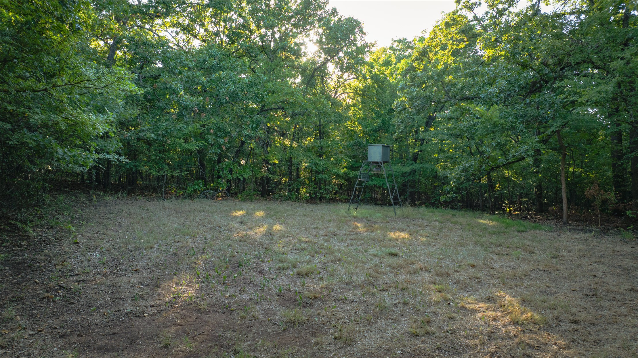 7777 Franks Property Photo 74