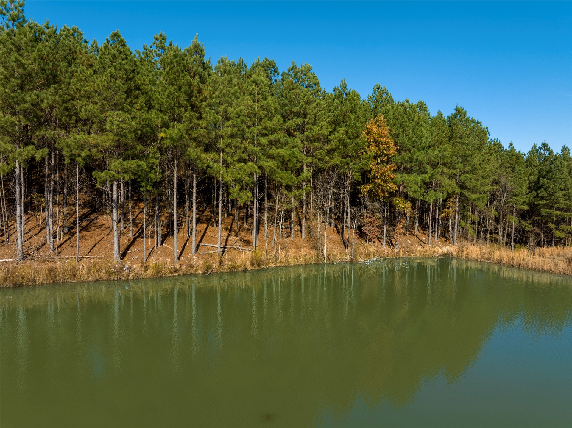 256 Woodsman Property Photo 5