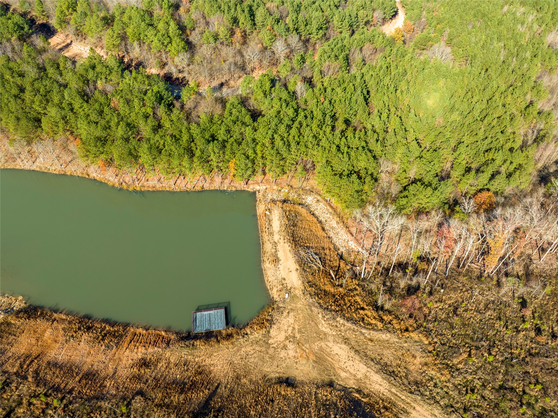 256 Woodsman Property Photo 8