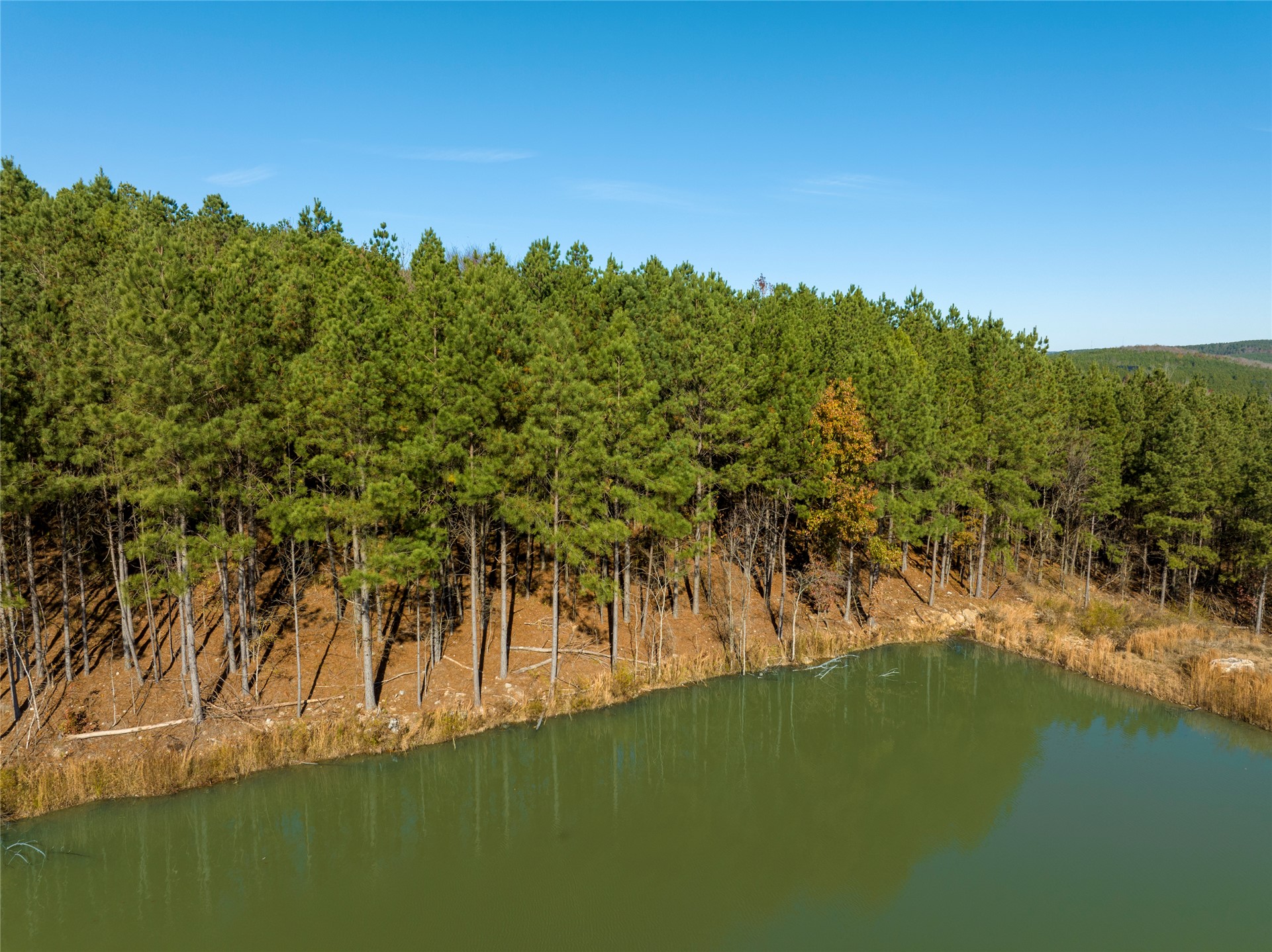 256 Woodsman Property Photo 9