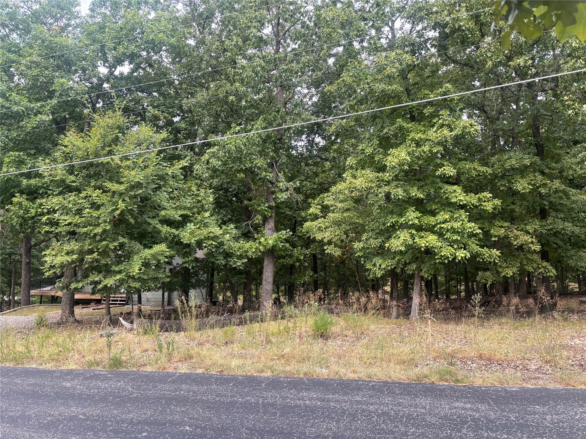 Blackwood Drive Property Photo 1