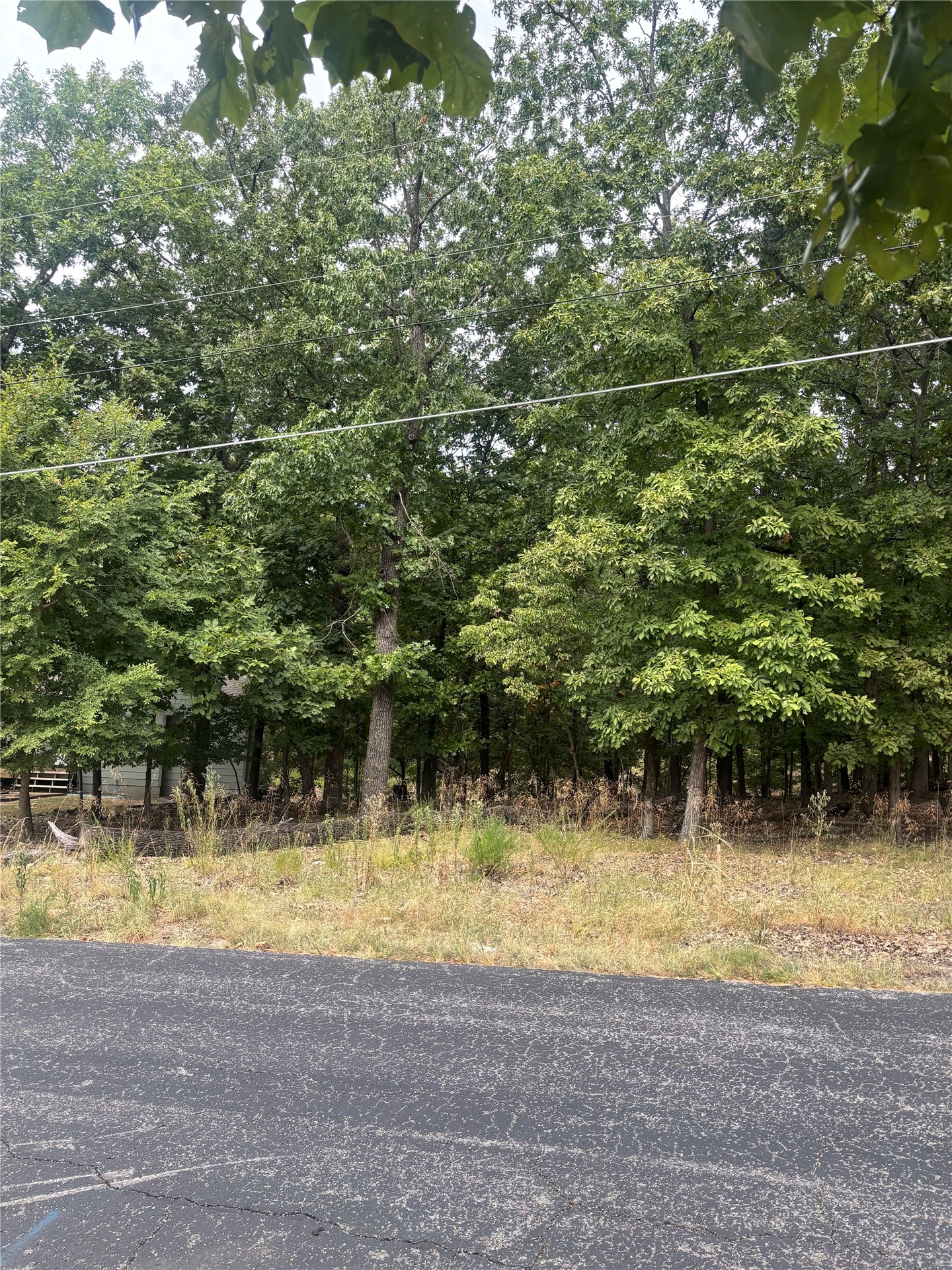 Blackwood Drive Property Photo 2
