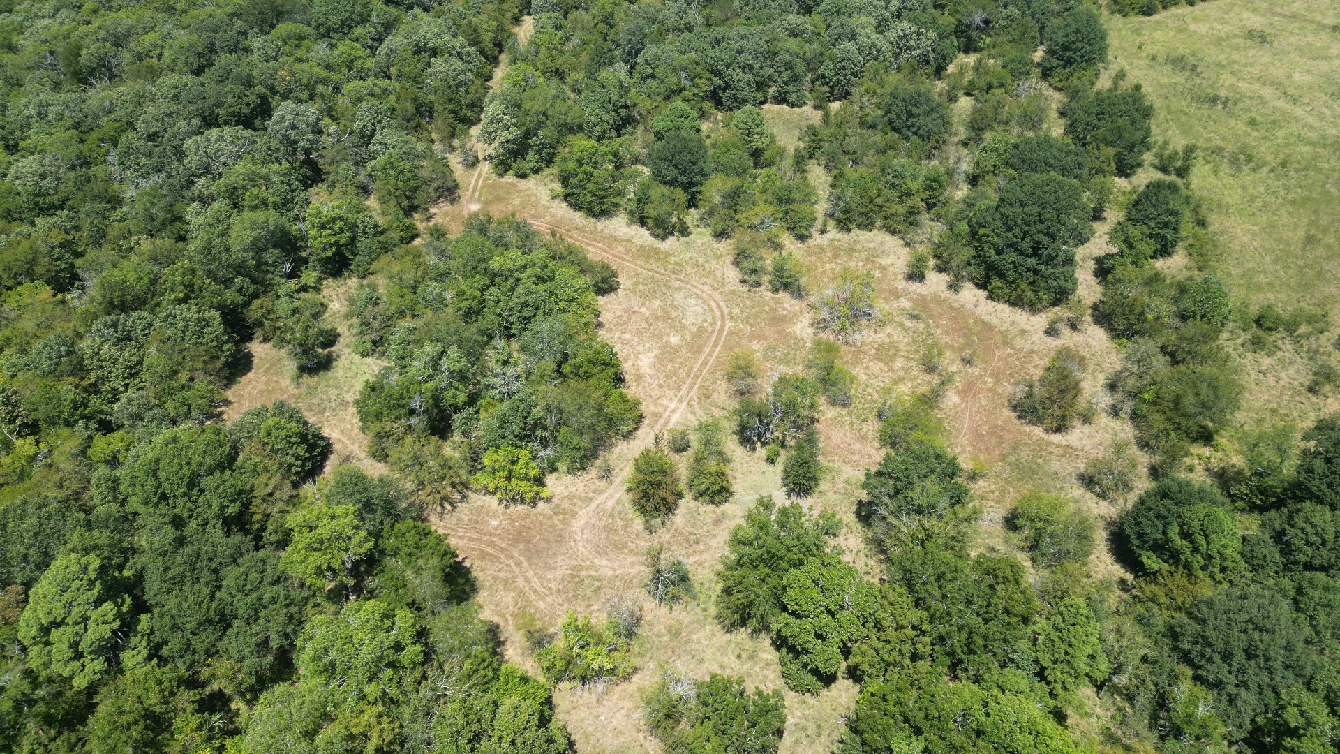 Bridge Road Property Photo 11