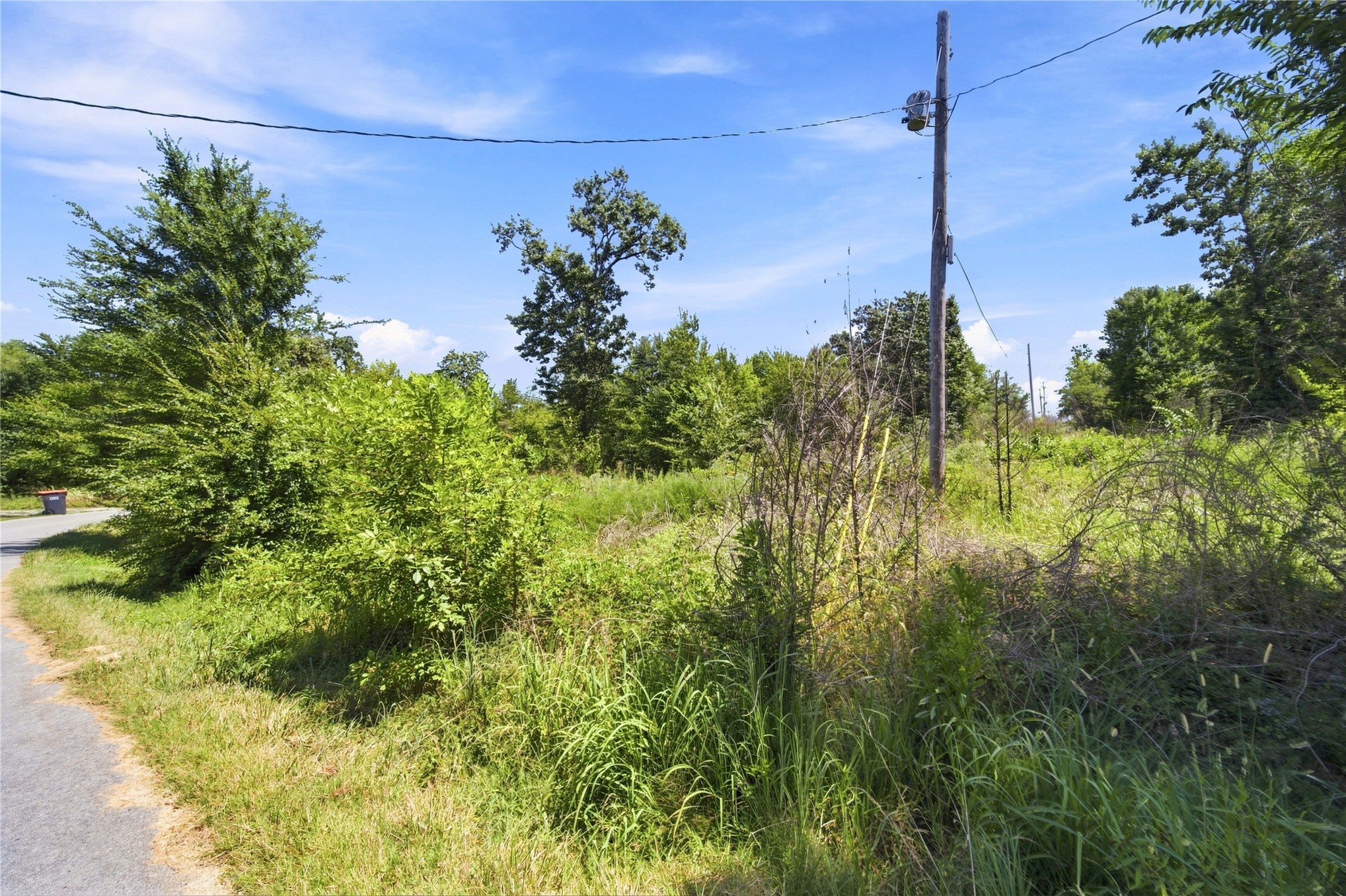 000 Hickory Lane Property Photo 2
