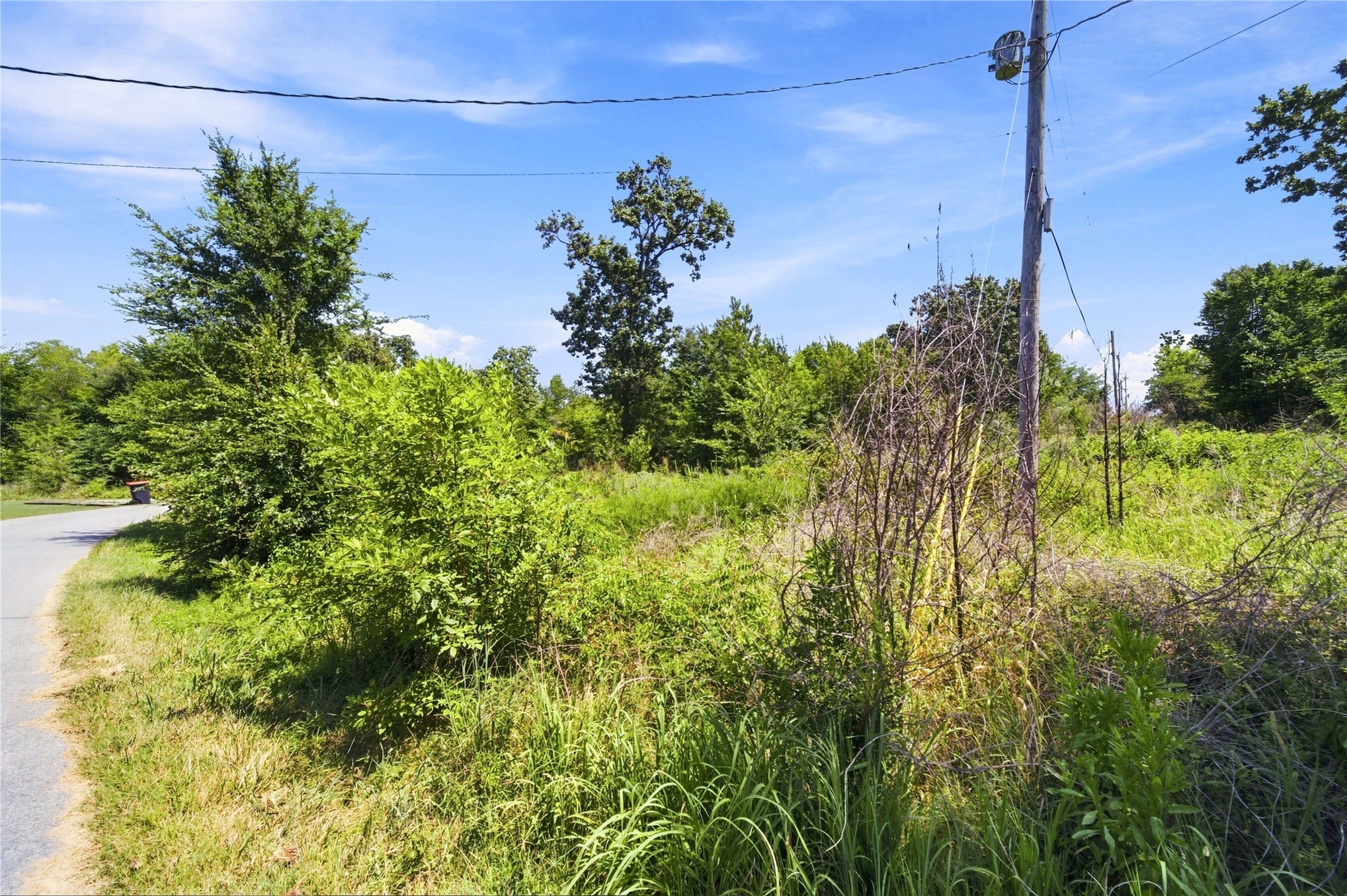 000 Hickory Lane Property Photo 8
