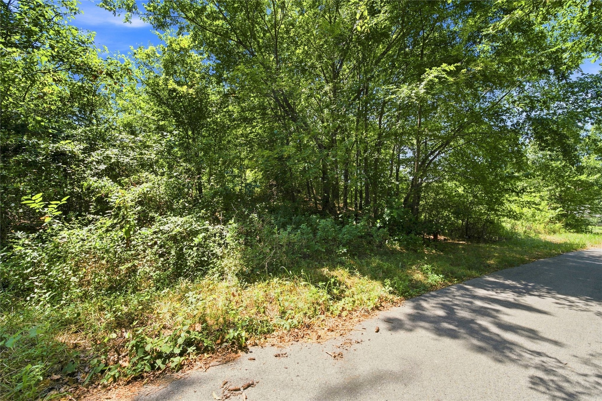 000 Hickory Lane Property Photo 14