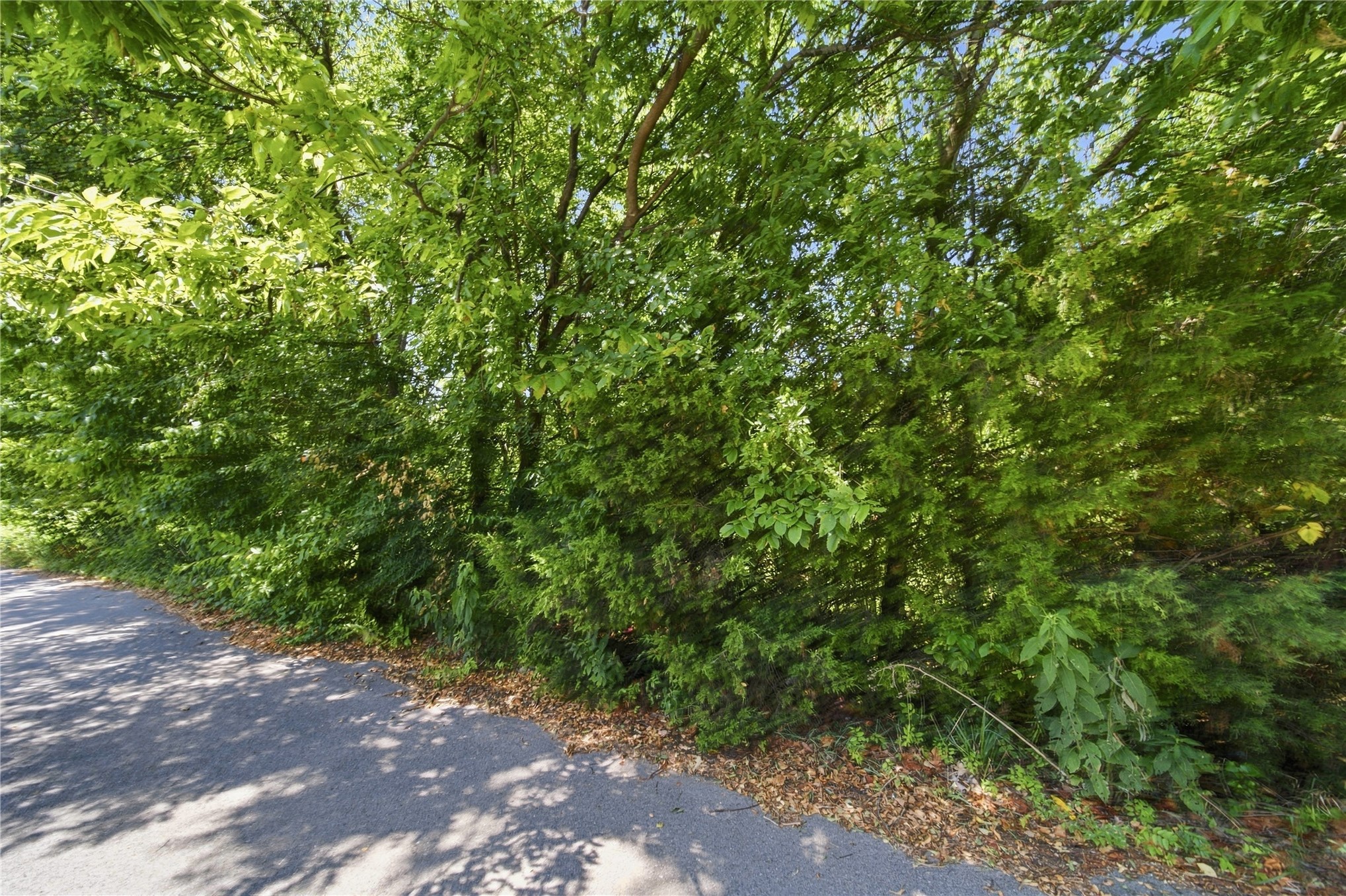 000 Hickory Lane Property Photo 16