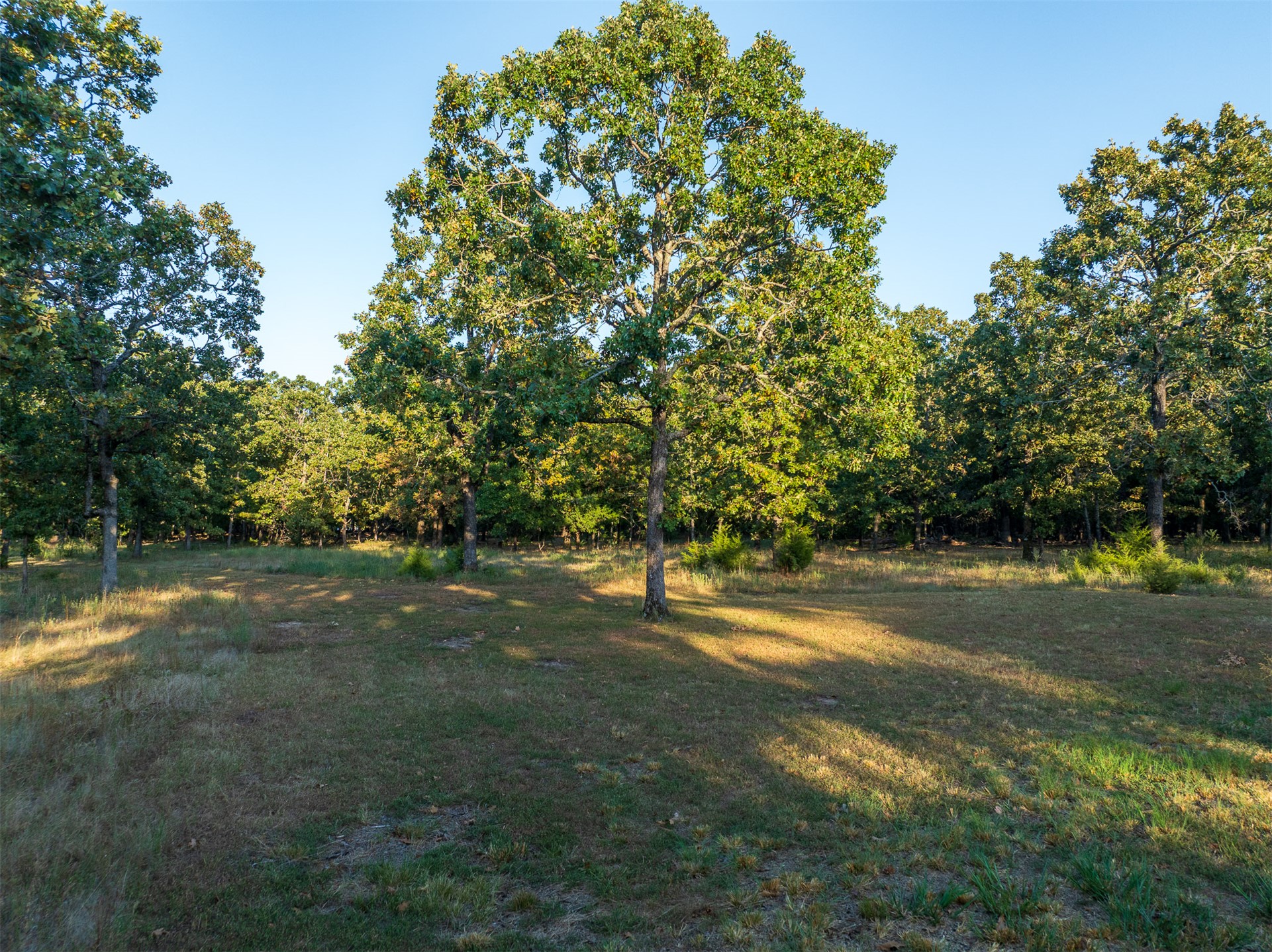 2 N 4450 Road Property Photo 36