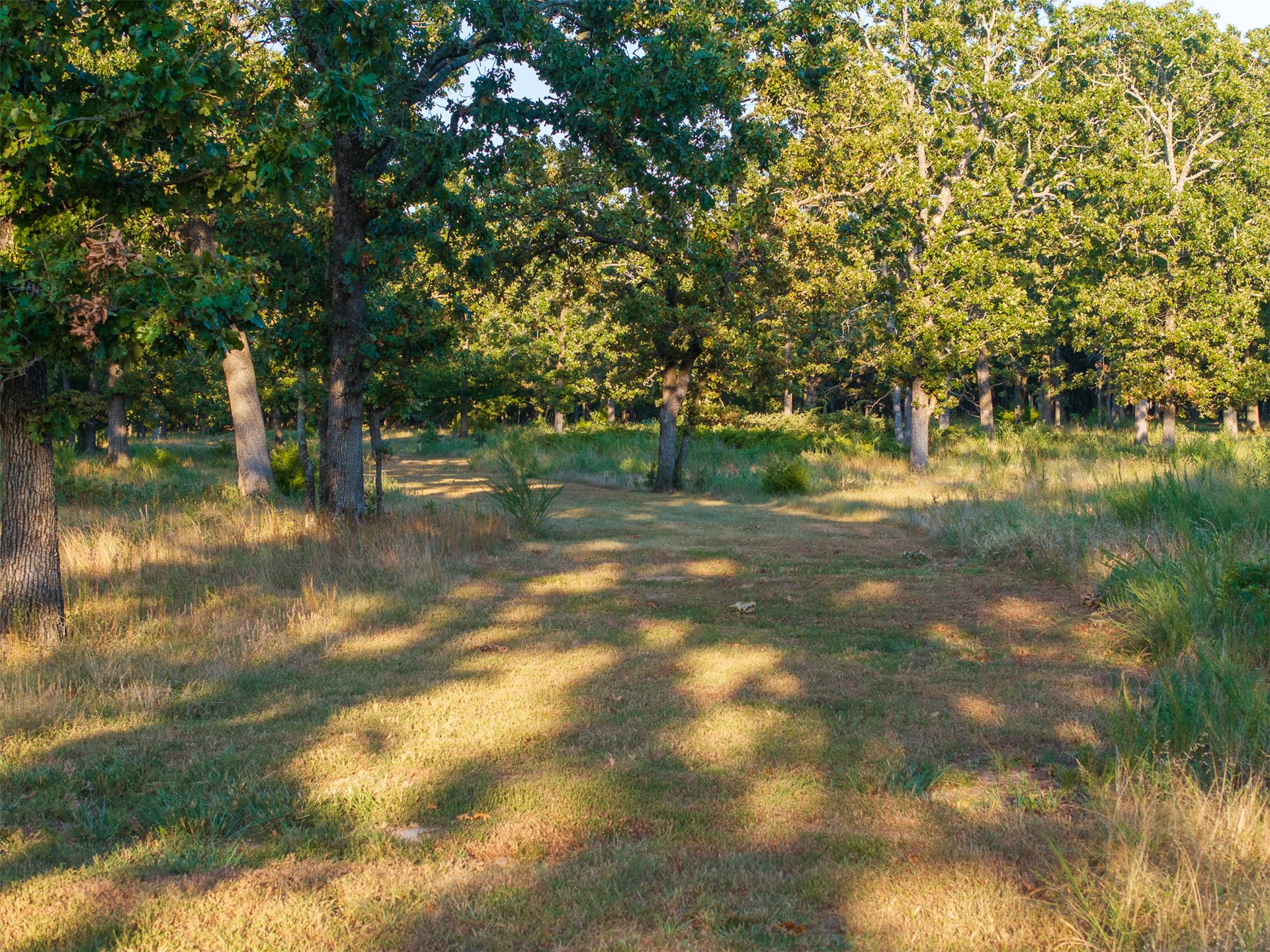 2 N 4450 Road Property Photo 39