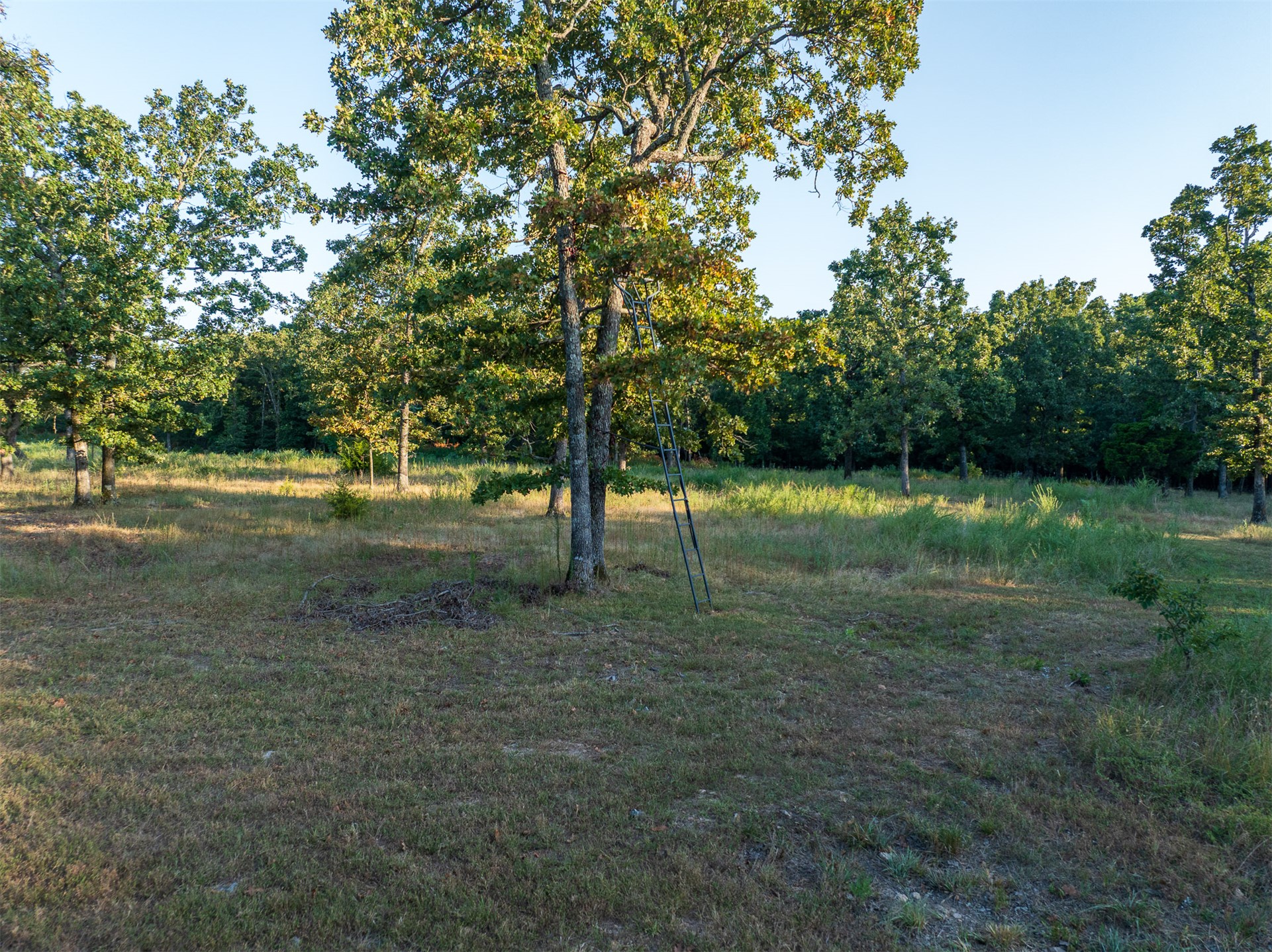 2 N 4450 Road Property Photo 40