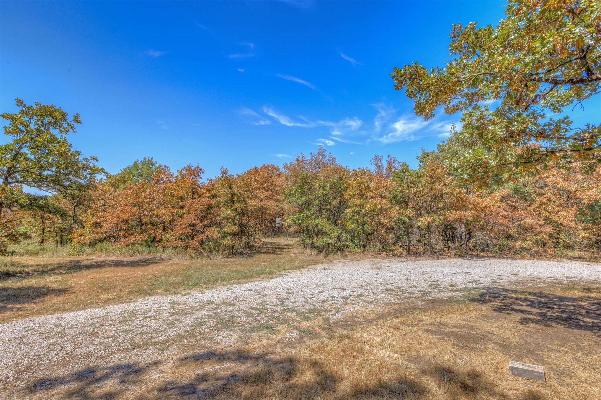 16820 Ranch Land Road Property Photo 56