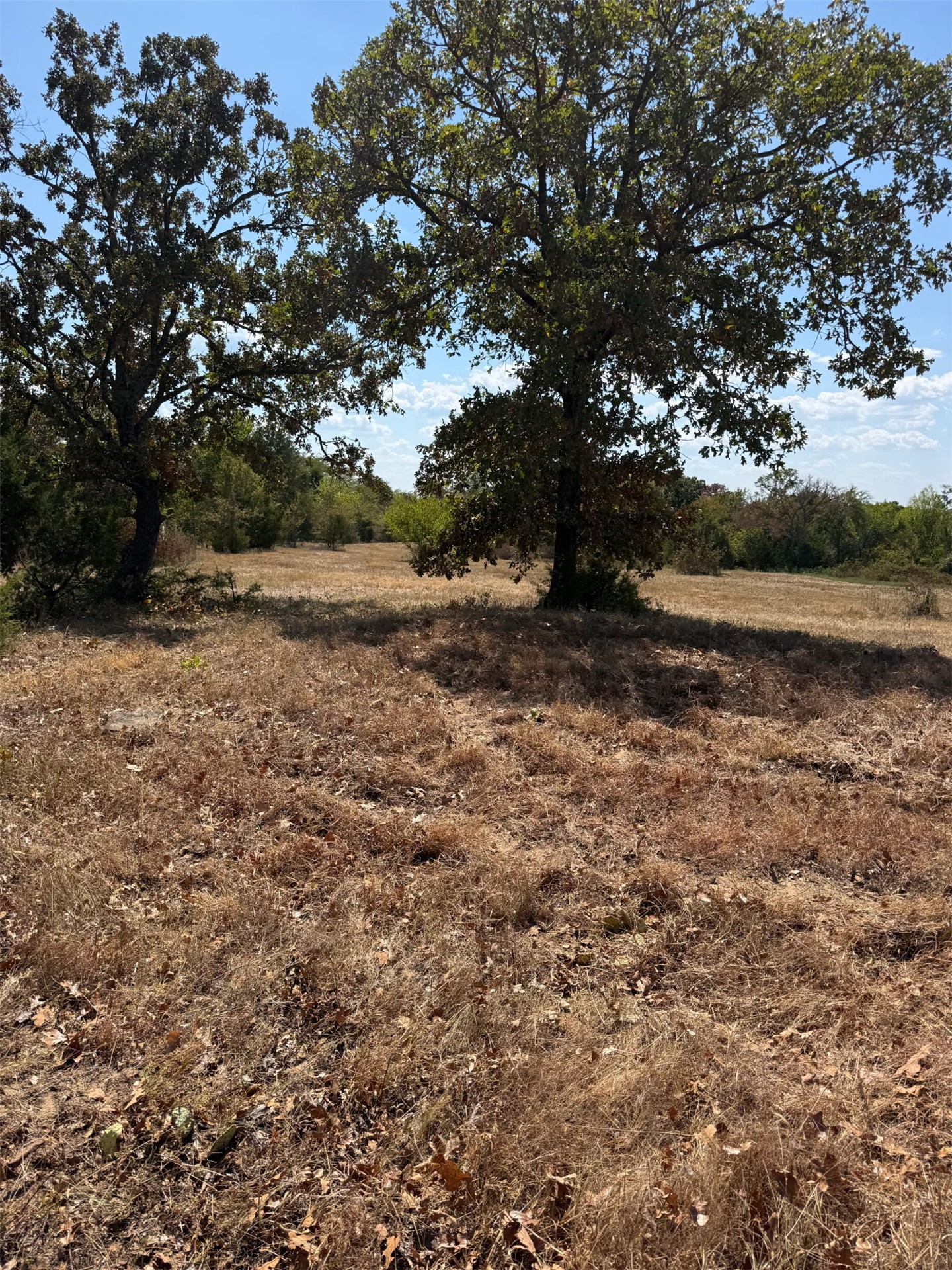 State Hwy 2 Highway Property Photo 4