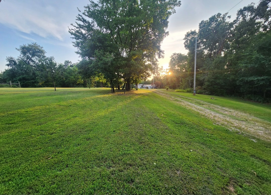 57443 667 Property Photo 3