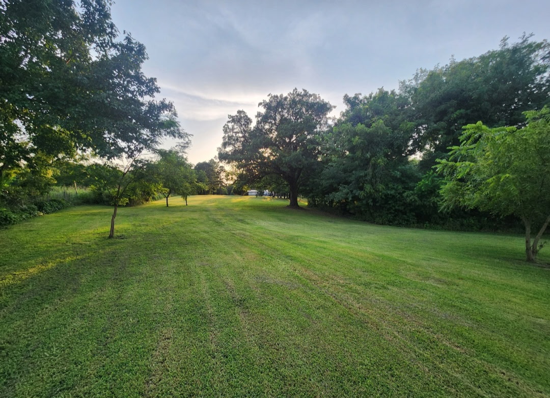 57443 667 Property Photo 4