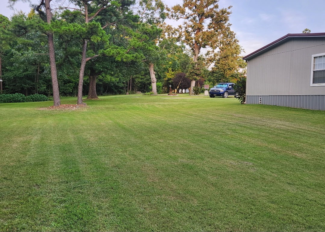 57443 667 Property Photo 5