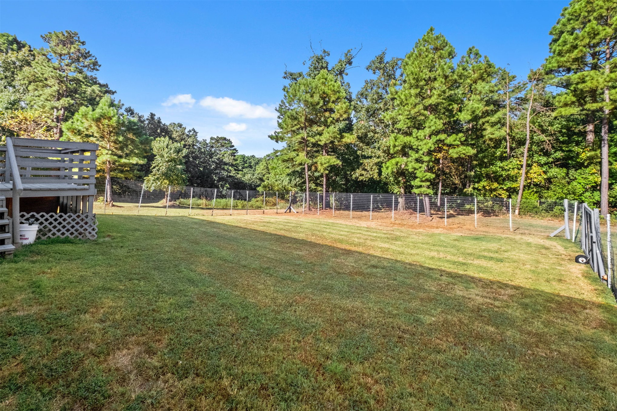 57443 667 Property Photo 31