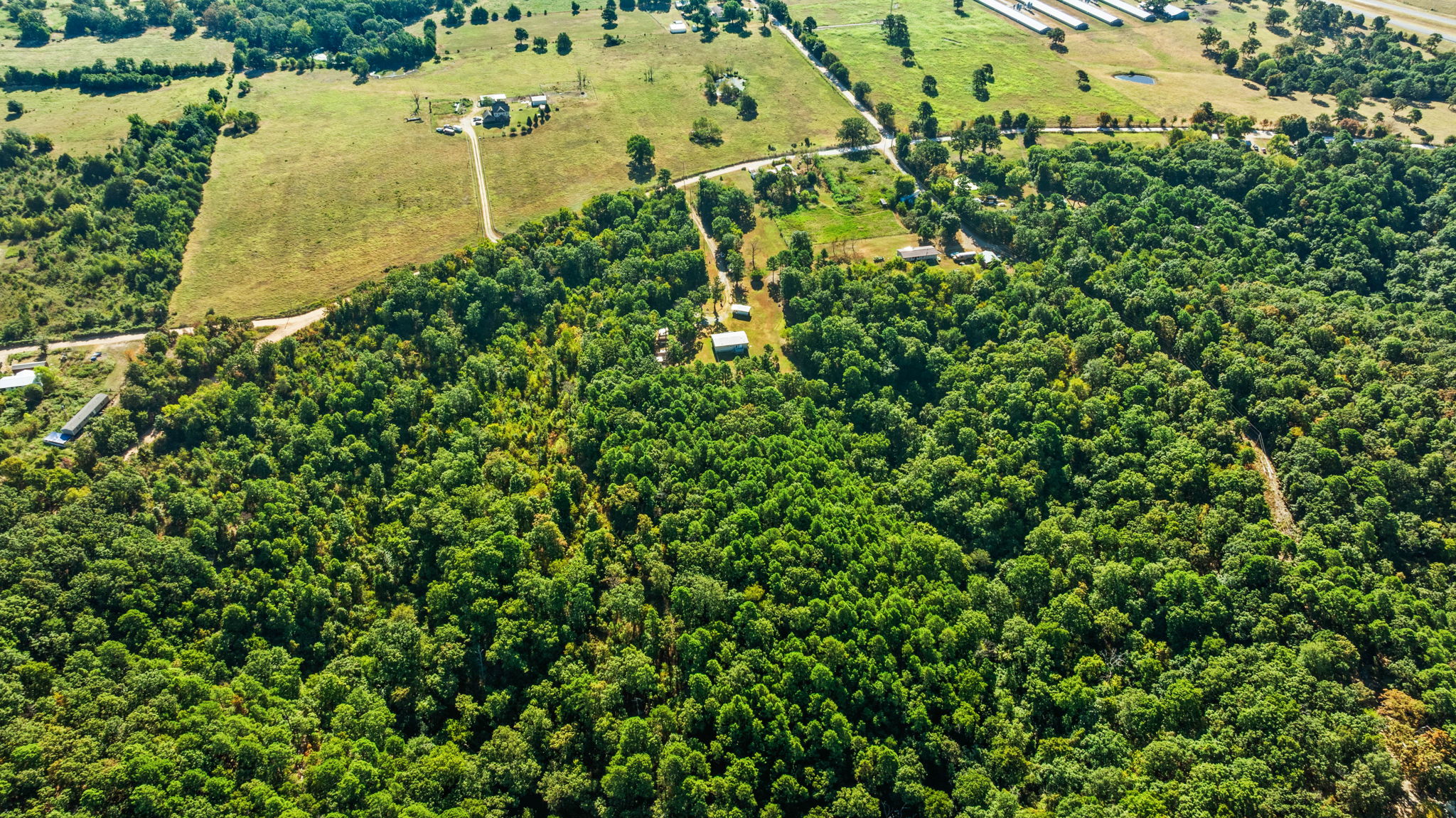 57443 667 Property Photo 42