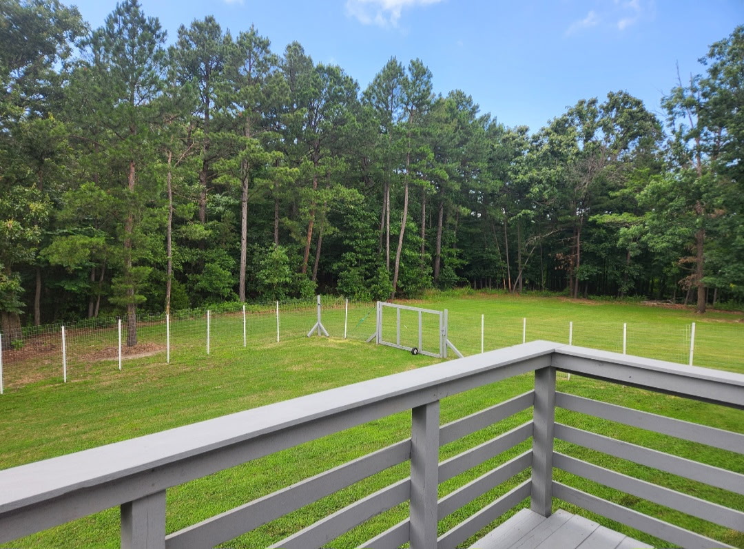 57443 667 Property Photo 50